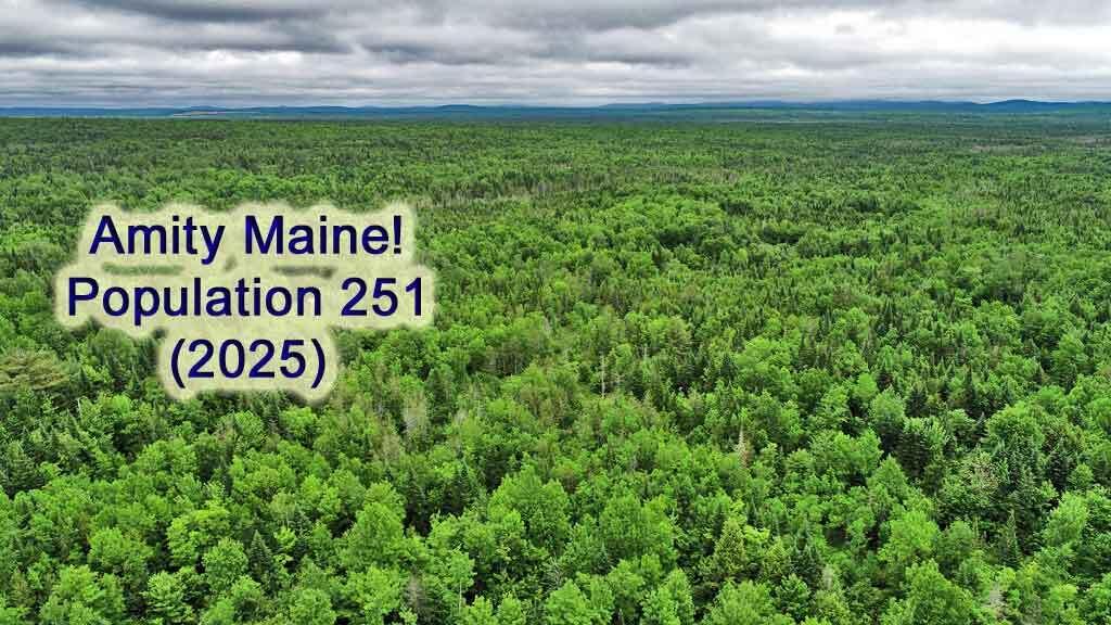 823 US RT 1, Amity, ME, 04471