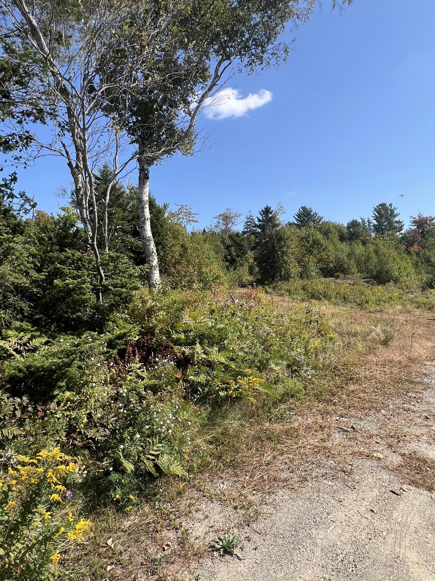 346 Main Street, East Machias, ME 04630 Land