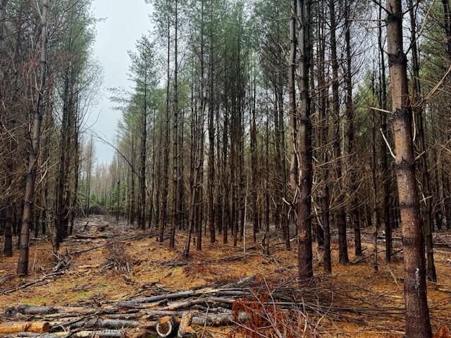 SO 001 Plan 2 Lot 16.1 Long Falls Dam Road, Lexington Twp, ME, 04961