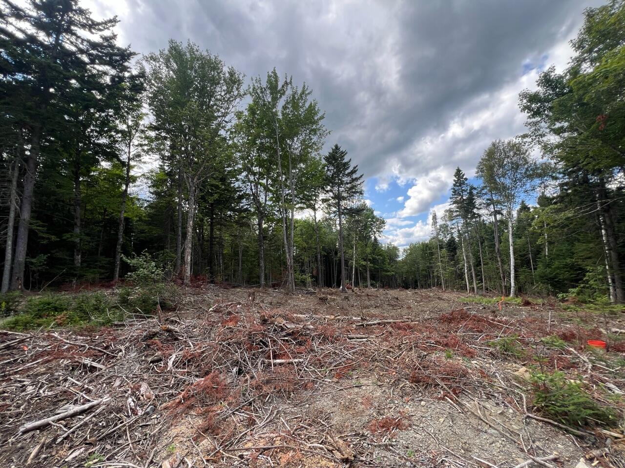 M12/41-123 Taylor Farm Road, Rangeley, ME, 04970