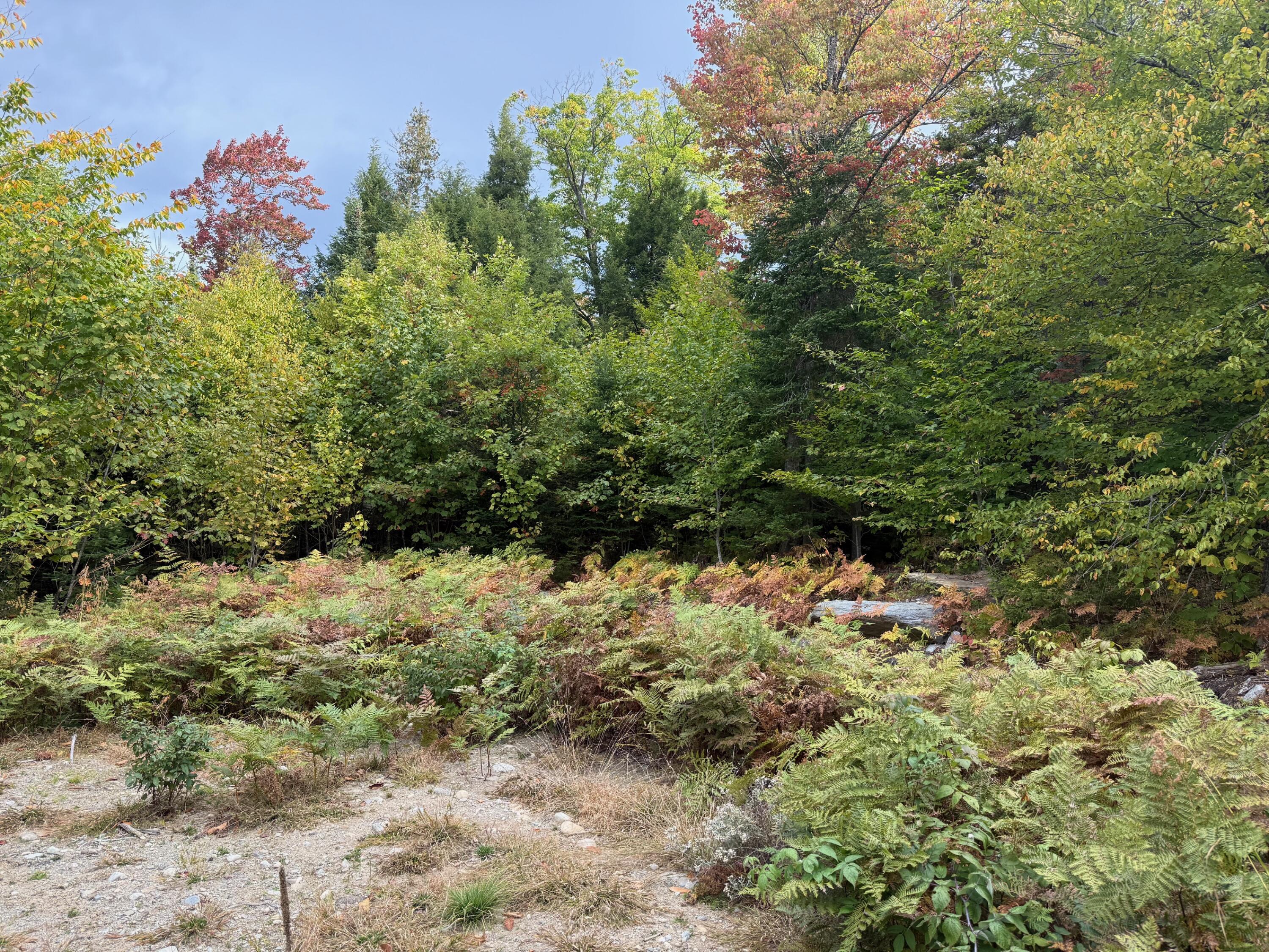 25-2 Sunset (Eagle Ridge) Lane, Kingfield, ME, 04947