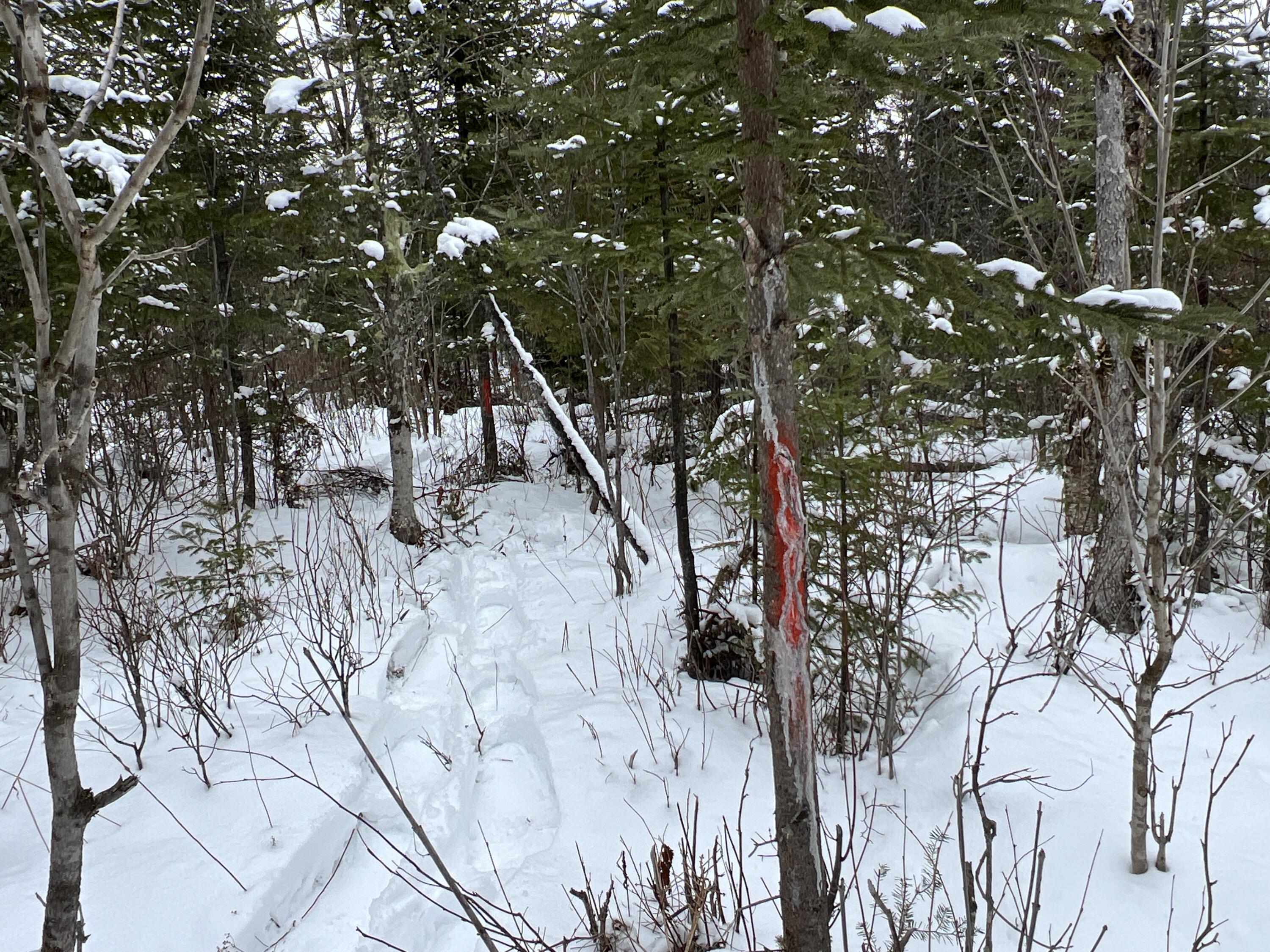 Lot 2-18 Shin Pond Road, Mount Chase, ME, 04765