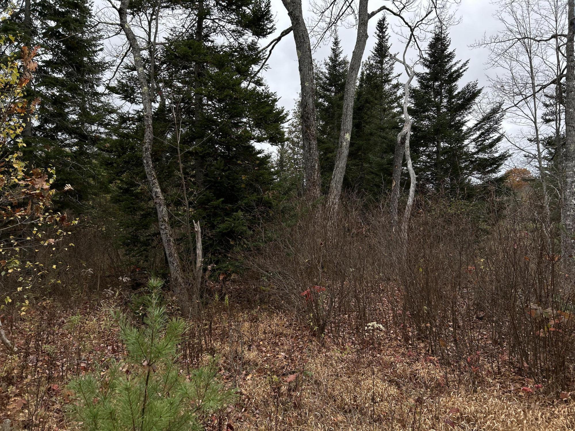 M4L18 Bog Road, Jackson, ME, 04921