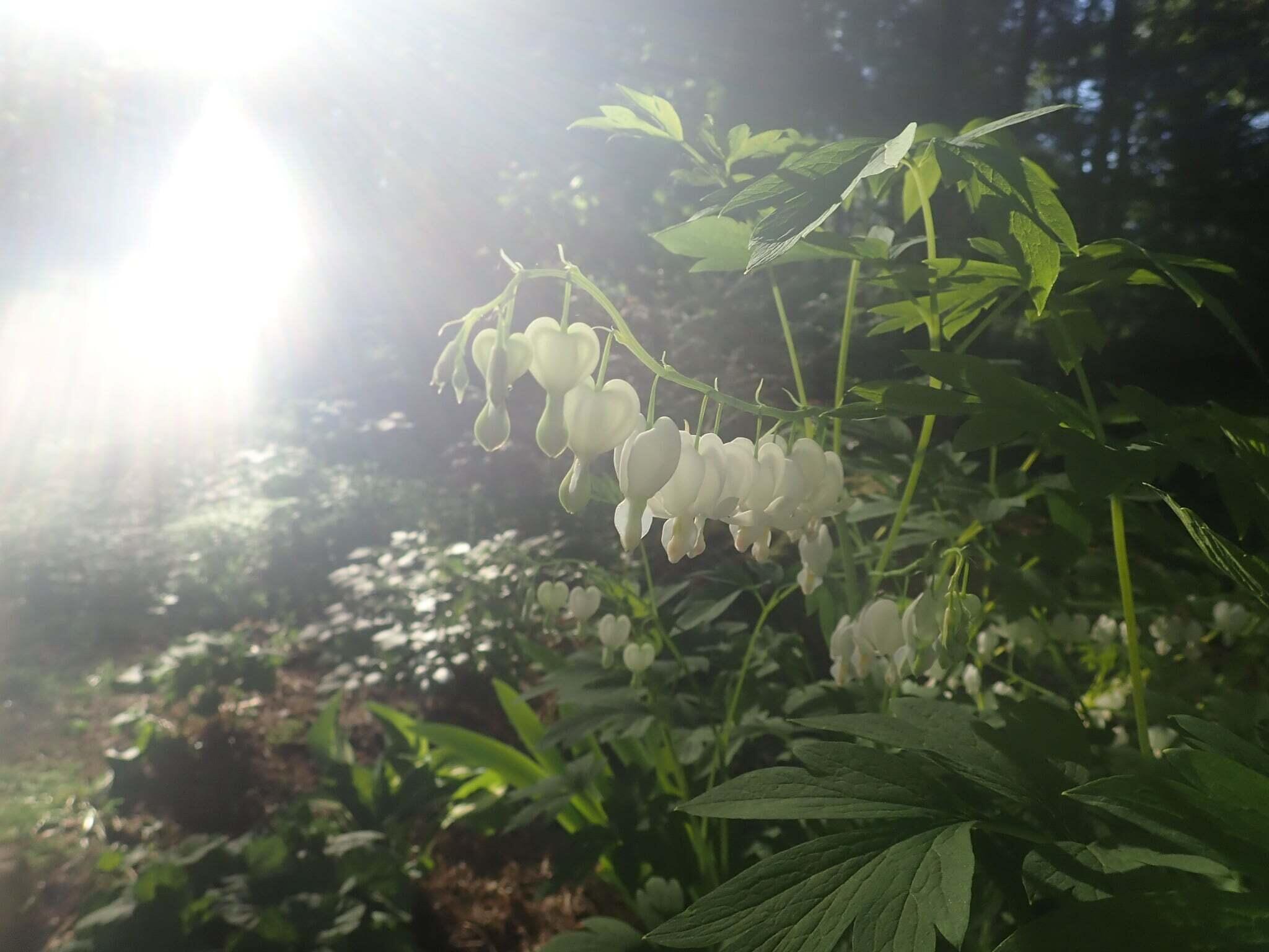 38 Main Street, Topsham, ME, 04086