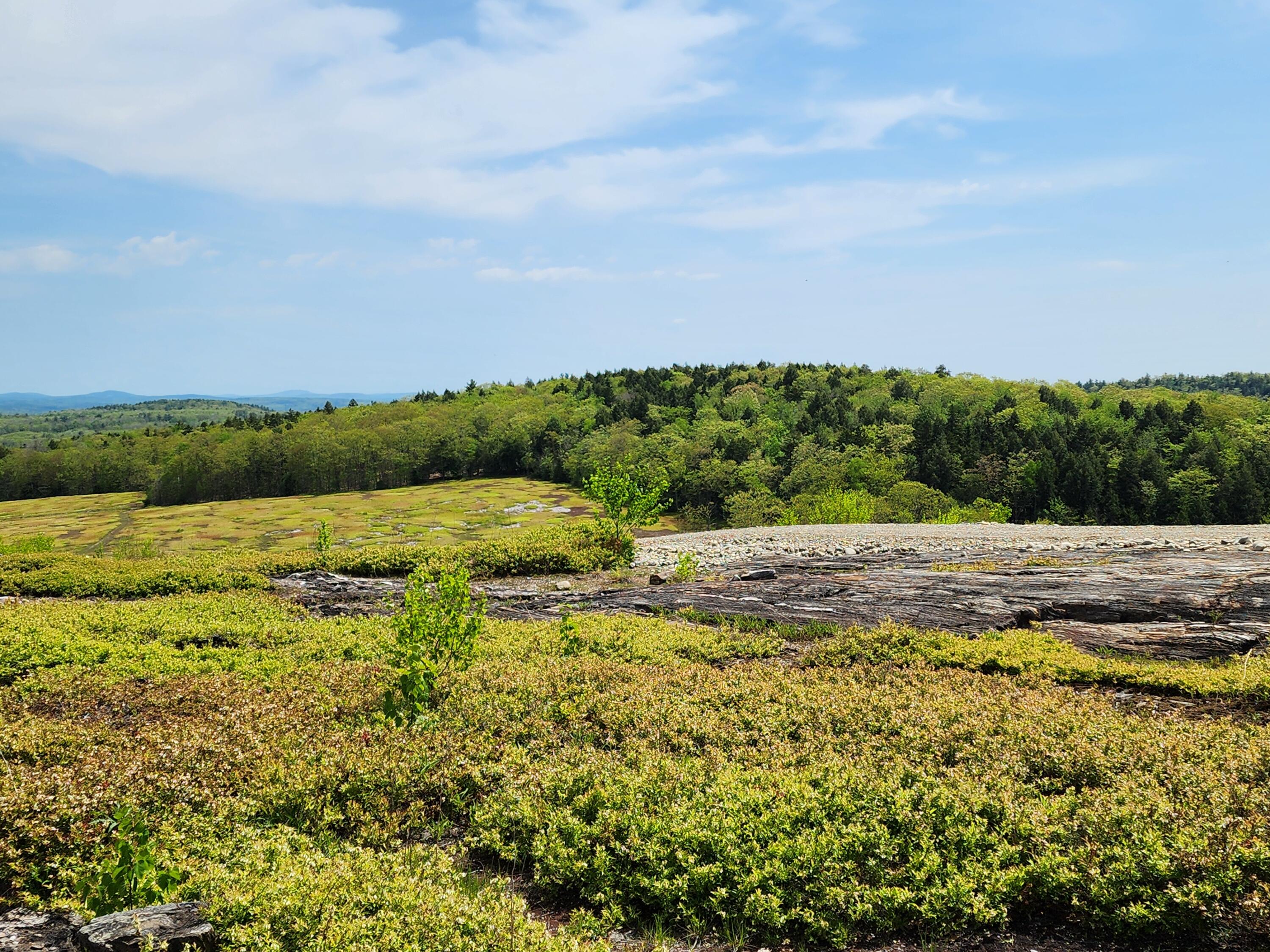 1 Whispering Berries Hill, Liberty, ME, 04949