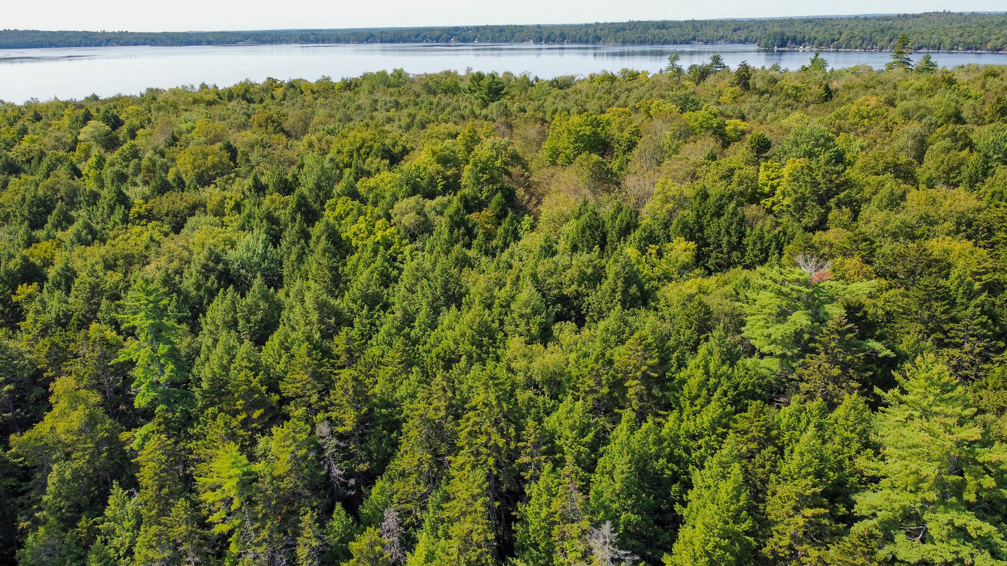 P/O M29L23 Bluff Road, Enfield, ME, 04493