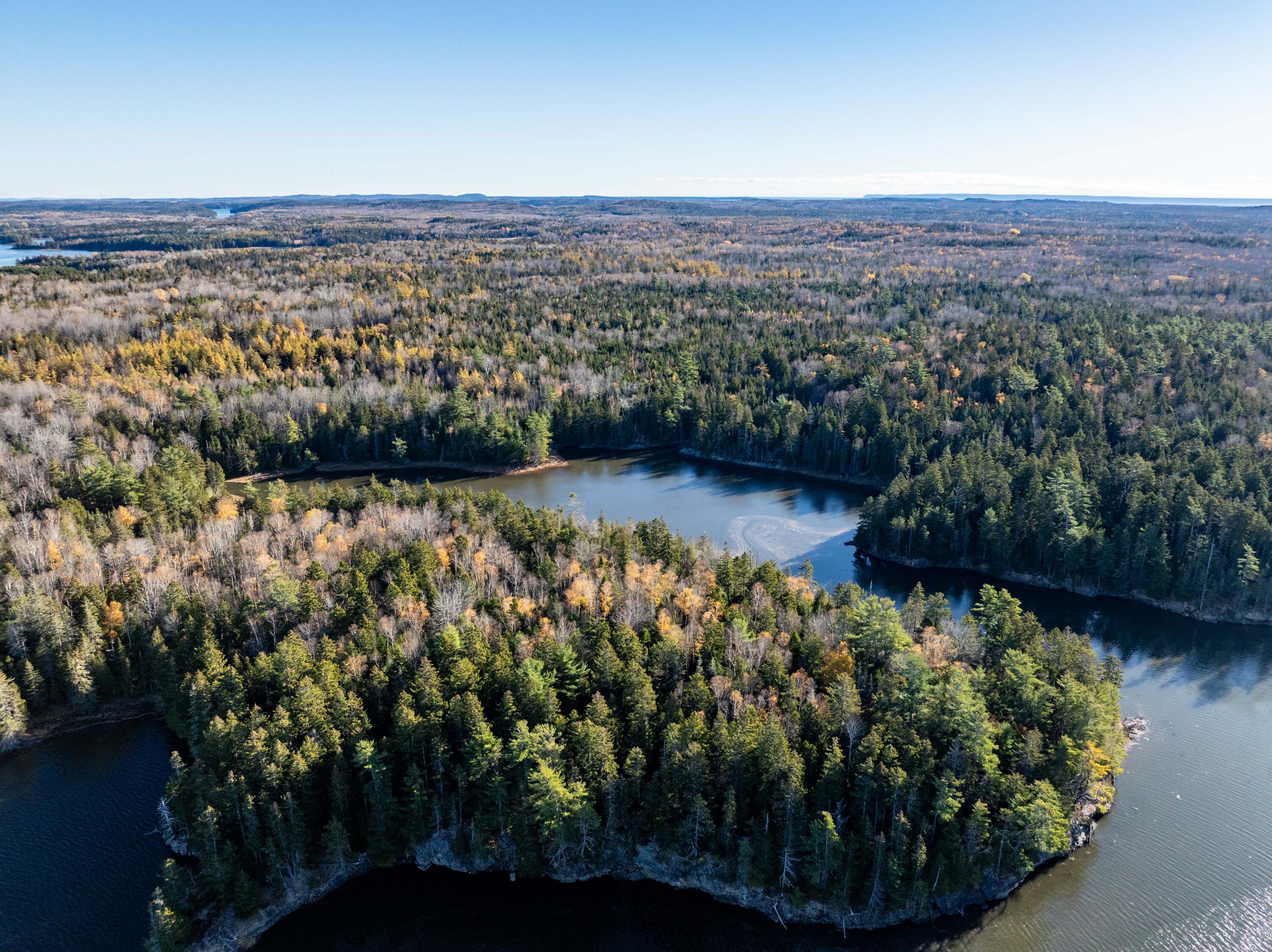 01-4 WA035, Trescott Twp, ME, 04652