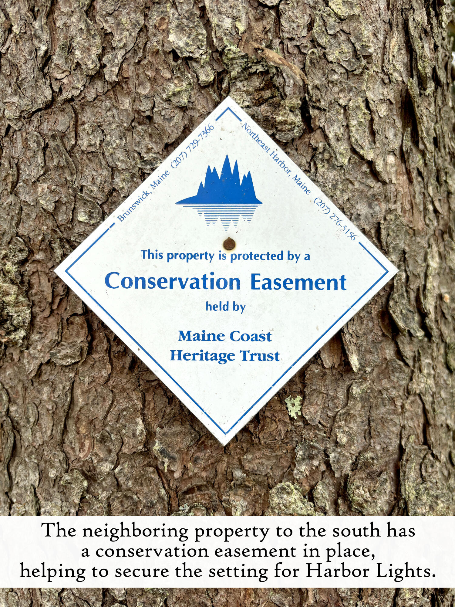 10 Harbor Lights Road, Bar Harbor, ME, 04609