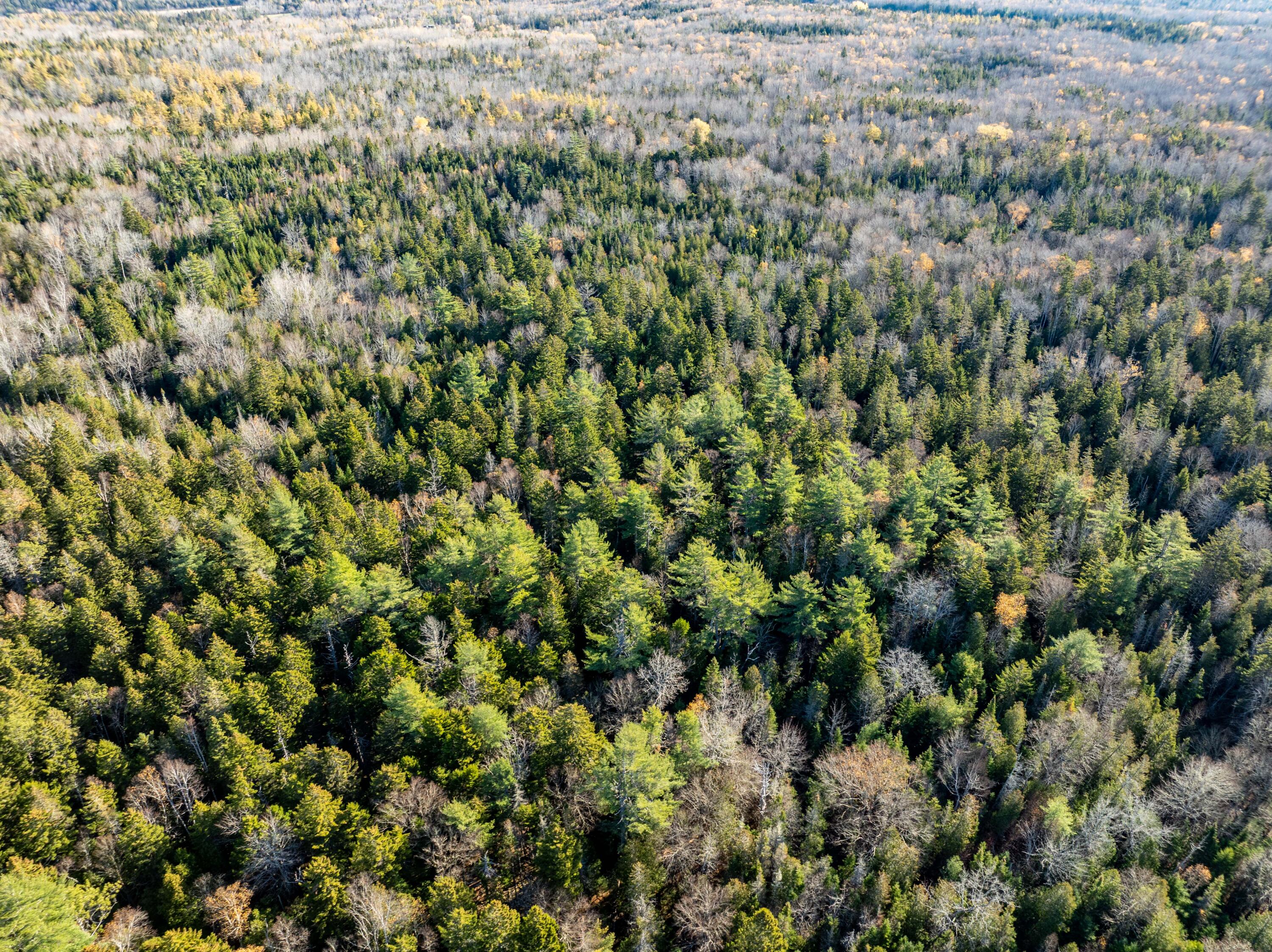 01-4 WA035, Trescott Twp, ME, 04652