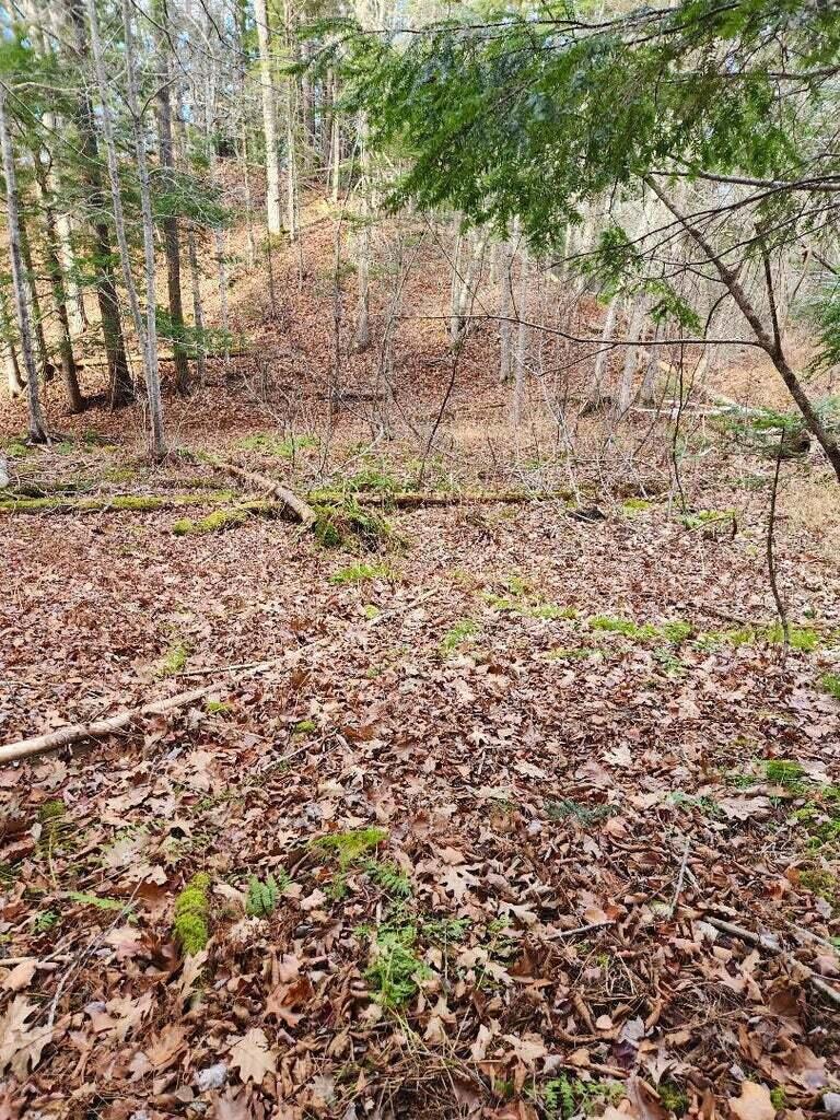 86 Oak Hill Road, Belfast, ME, 04915