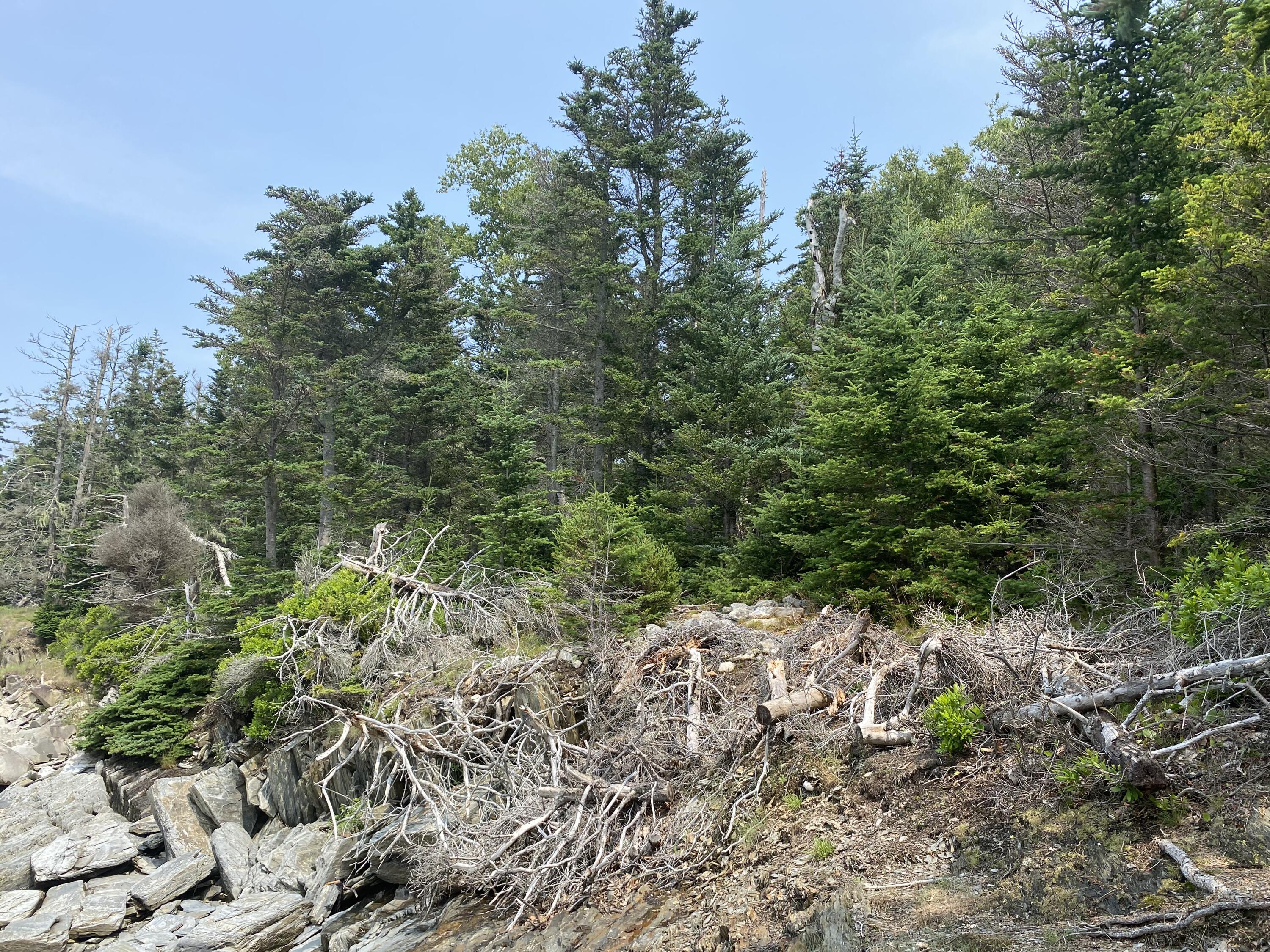 1552 Turtle Head Road, Islesboro, ME, 04848