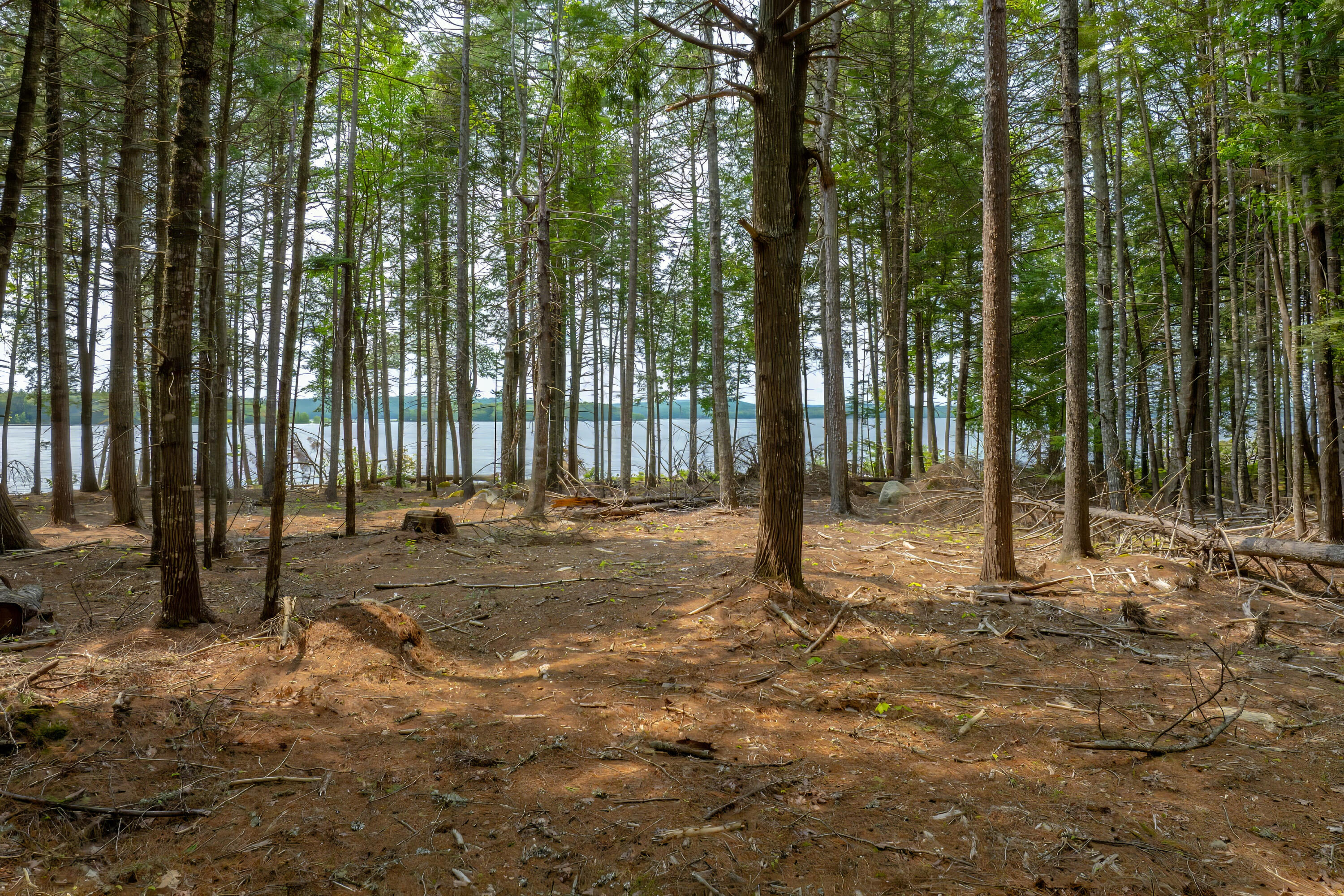 80 Bufford Drive, Waltham, ME, 04605