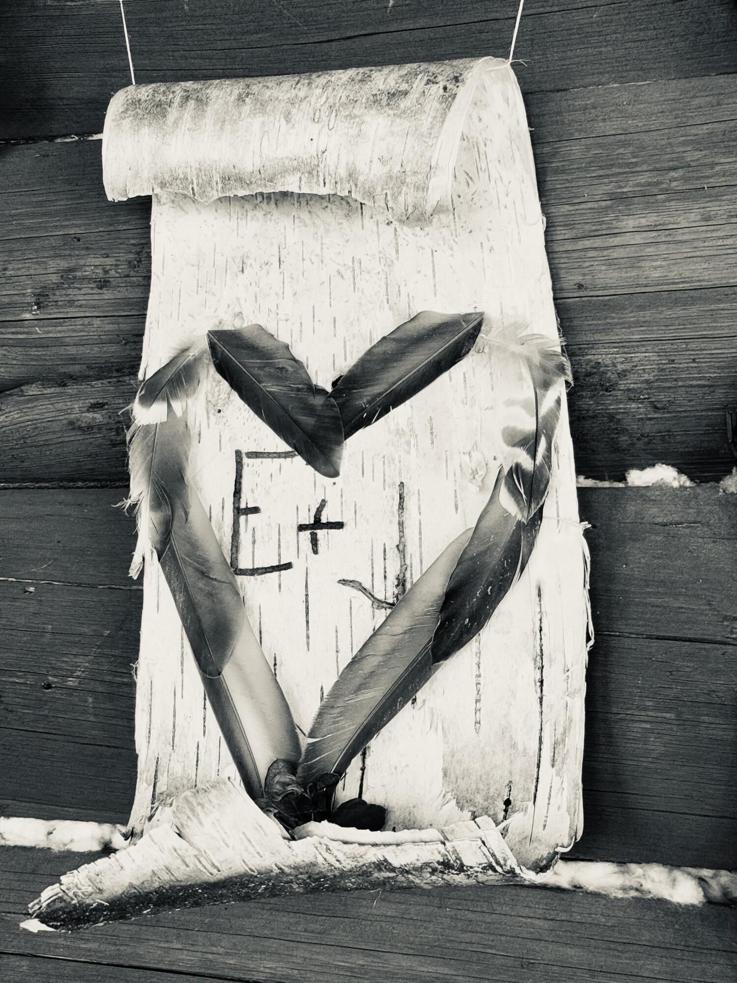 8 Cove Road, Grand Lake Stream Plt, ME, 04668