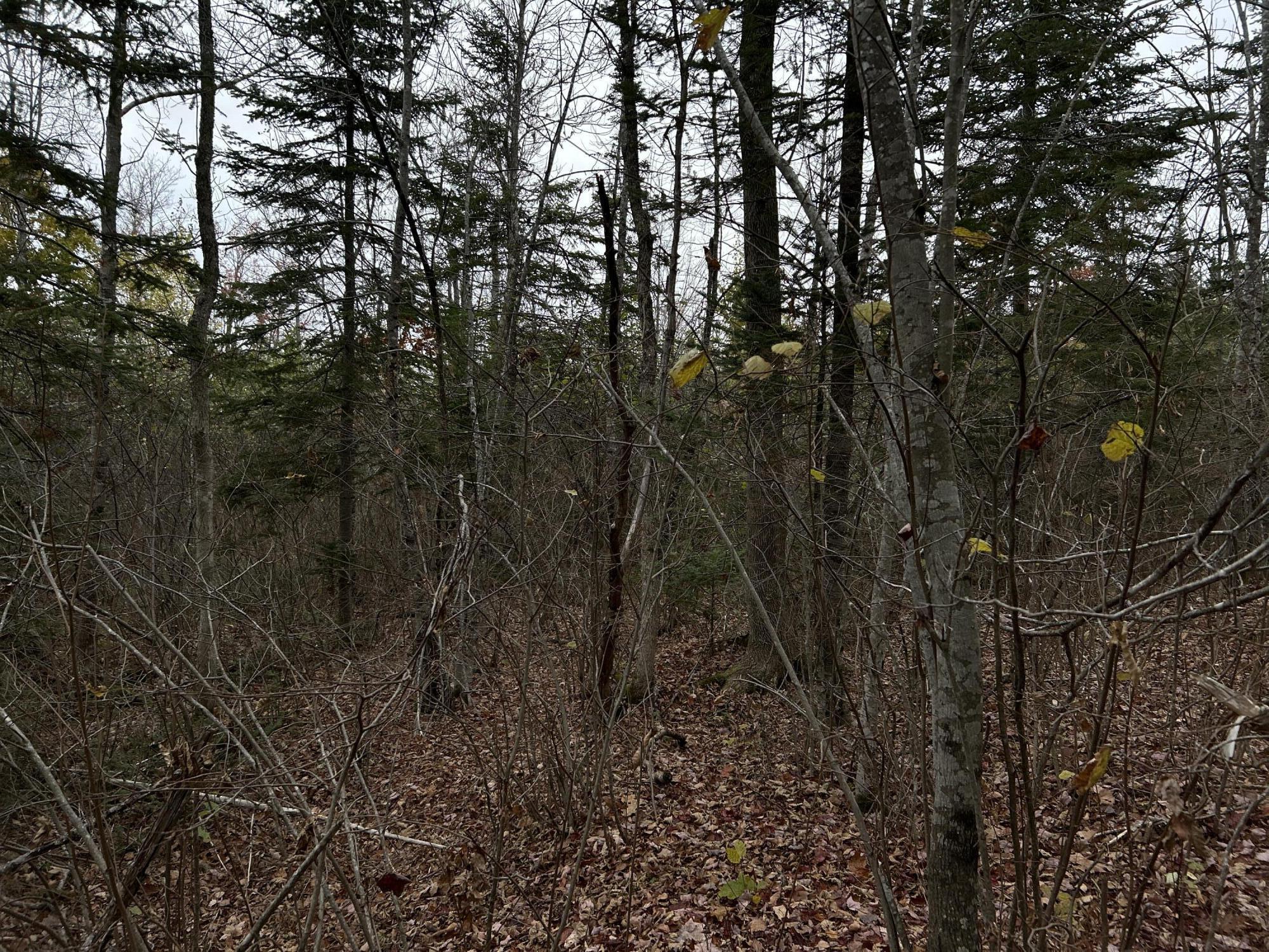 M4L18 Bog Road, Jackson, ME, 04921