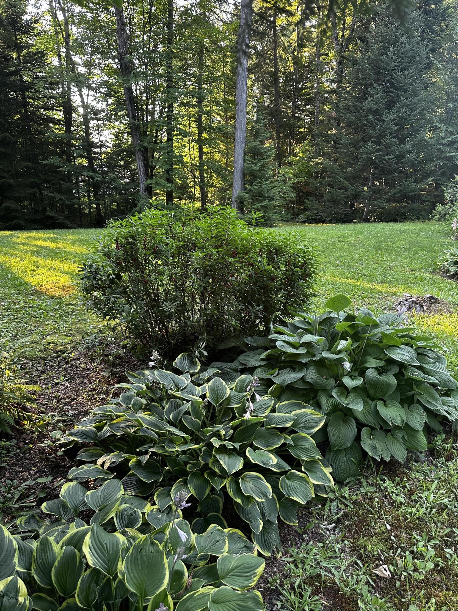 531 E Cottage Road, Portage Lake, ME 04768 531 yard