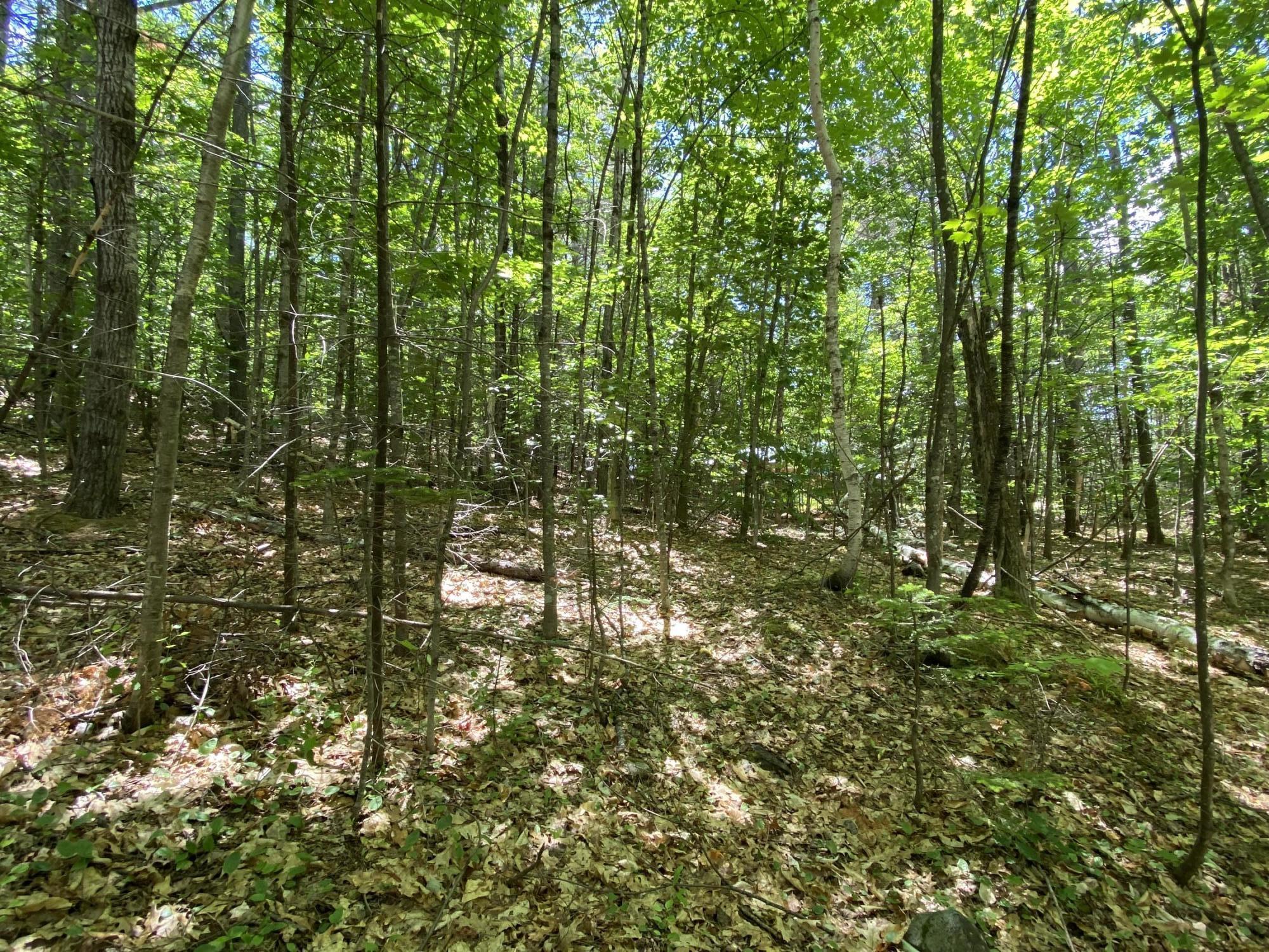 64 Bird Hill Road, Woodstock, ME, 04217