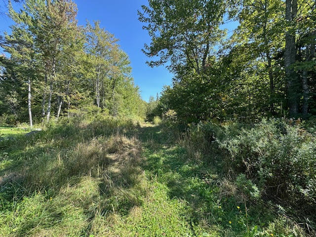 M1L431E-5 Sally Mack Road, Frankfort, ME, 04438