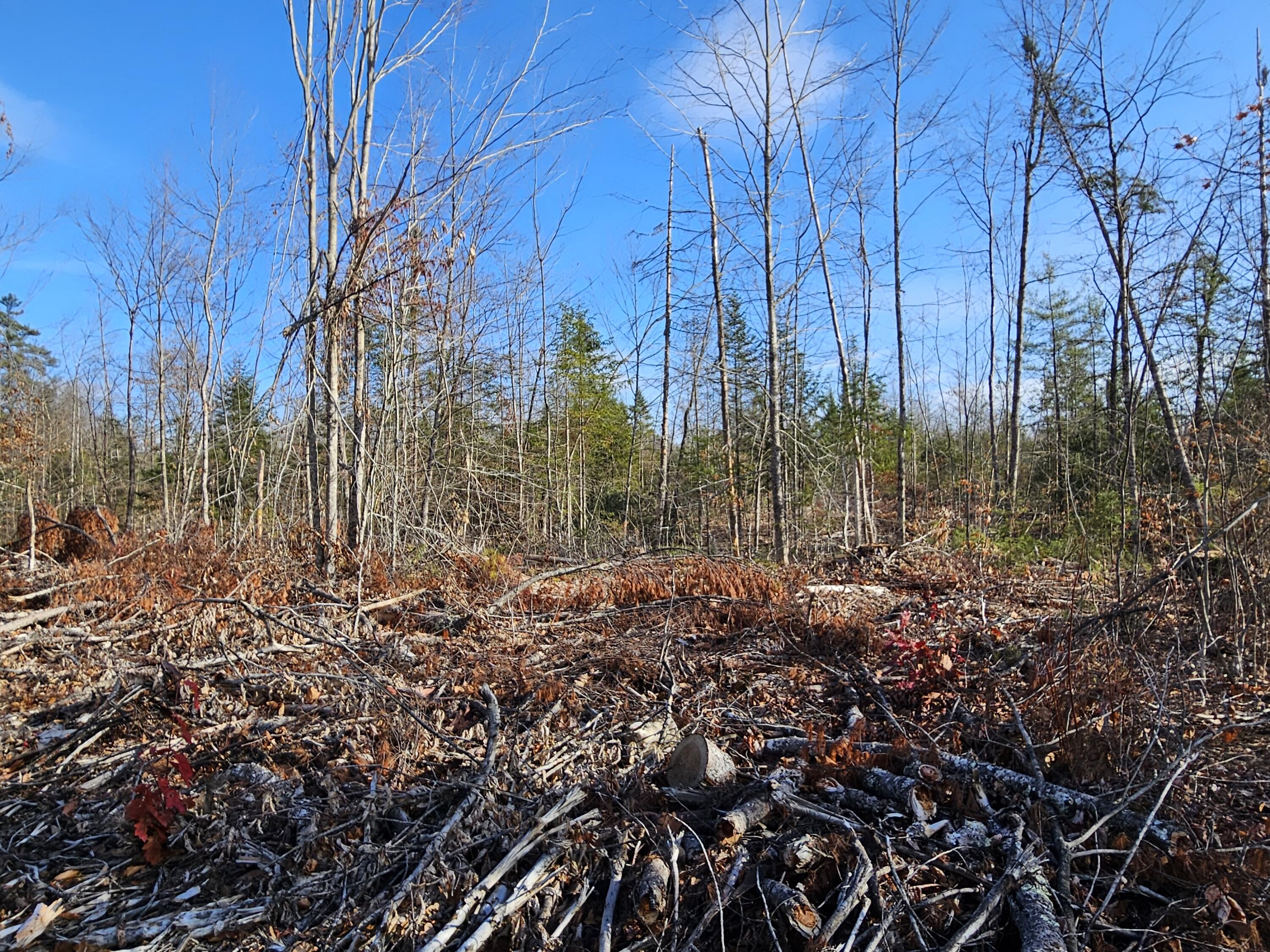 M-3 L-33-5 Cape Cod Hill Road, New Sharon, ME, 04955