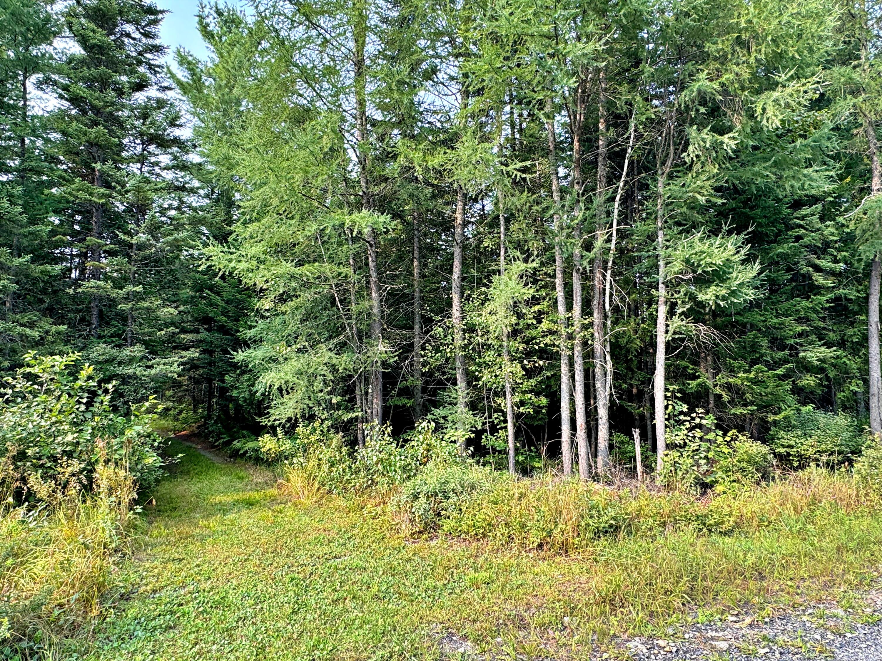 54 St John Road, Fort Kent, ME, 04743