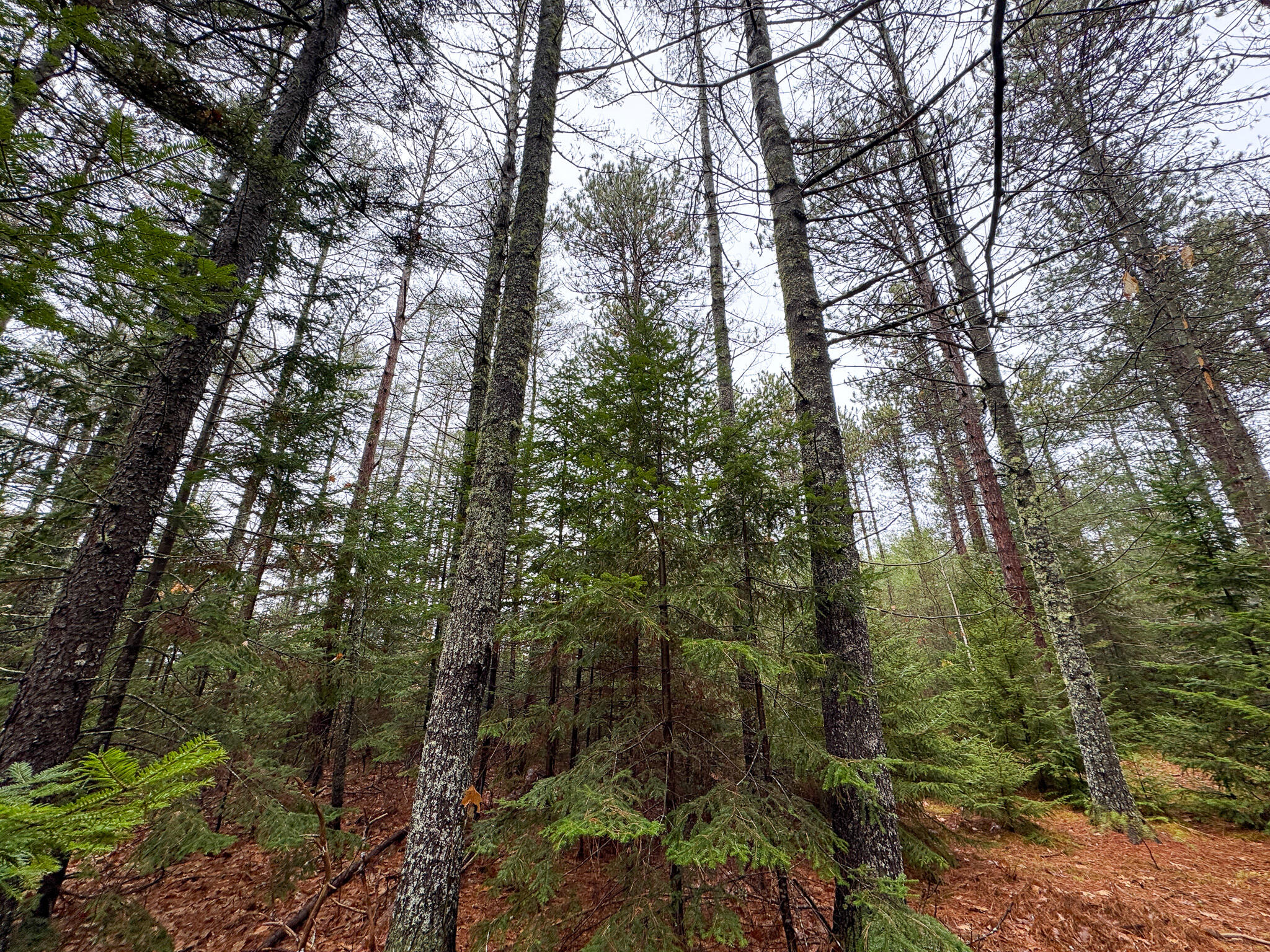 43 Fleming Road, Bethel, ME, 04217