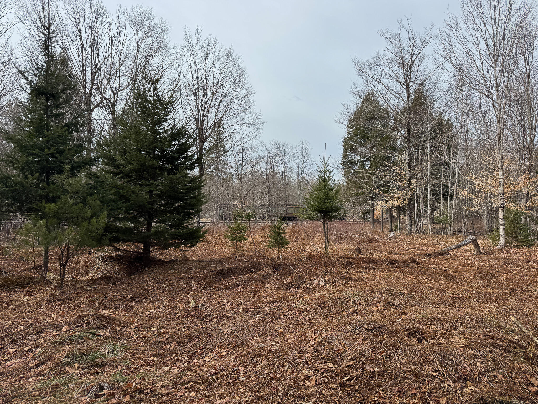 M11L10 Off Gordon Hill Road, Thorndike, ME, 04986