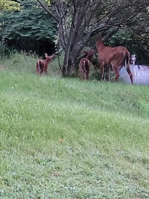 38 Kuvaja Road, Greenwood, ME, 04255