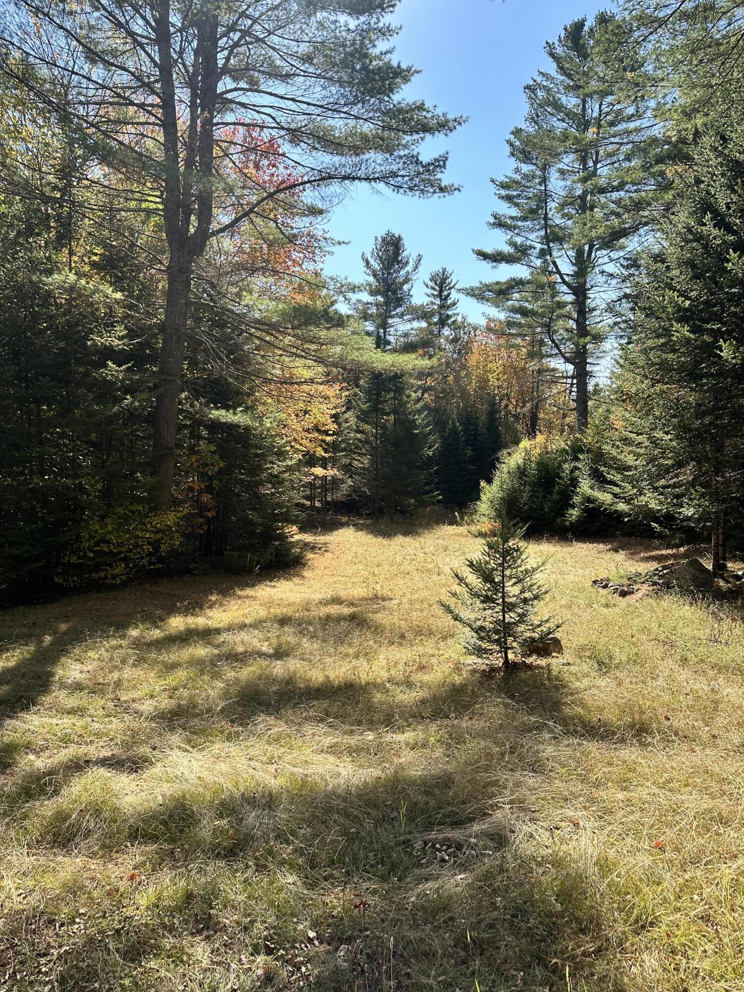 Lot 19 Moody Brook Road, West Paris, ME, 04289