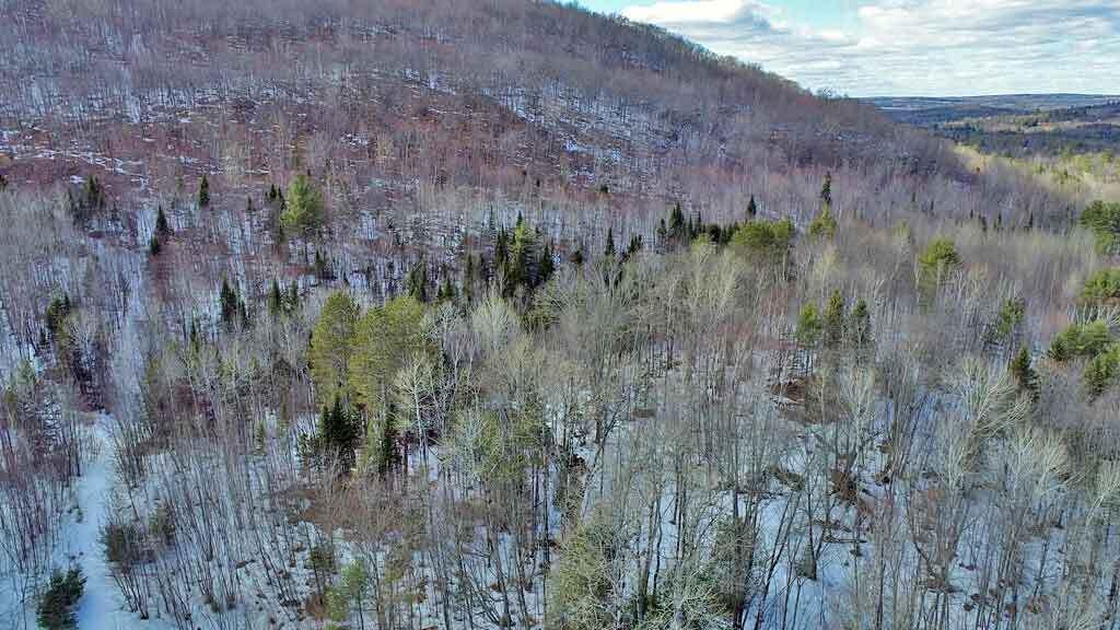 Lot 11 Drews Mill Road, Linneus, ME, 04730