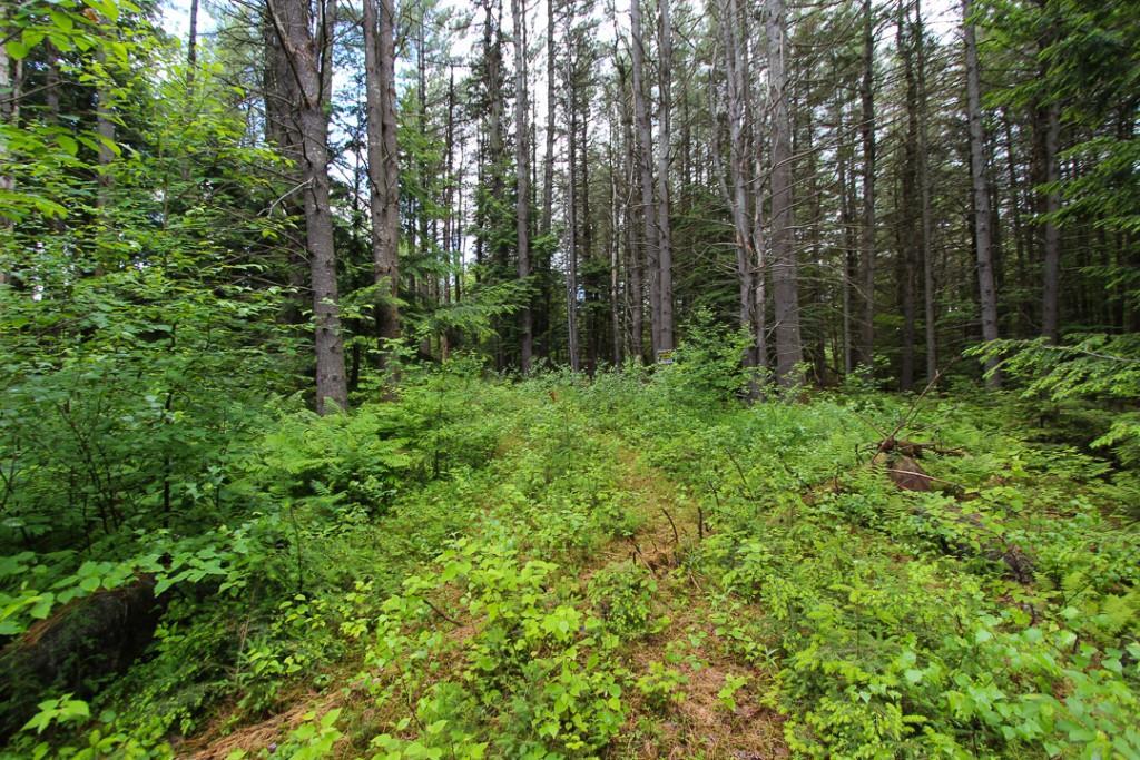 00 Cross Street, Greenwood, ME, 04255