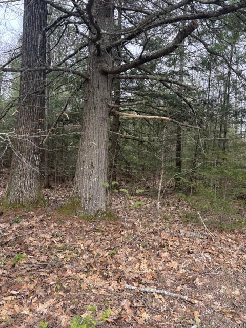 Lot 12 Prokey Drive, Limerick, ME, 04048