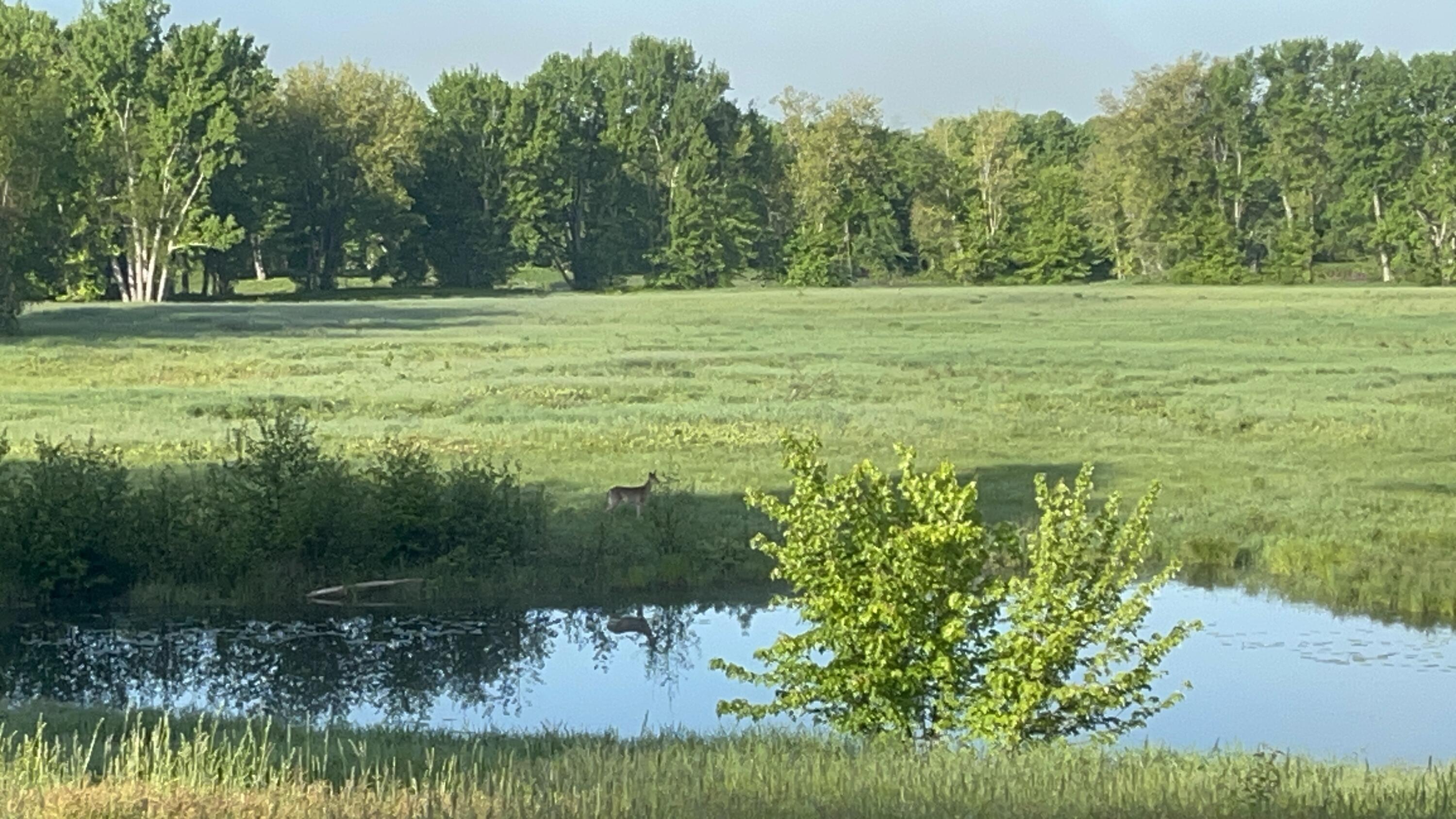 474 N Howland Road, Howland, ME, 04448