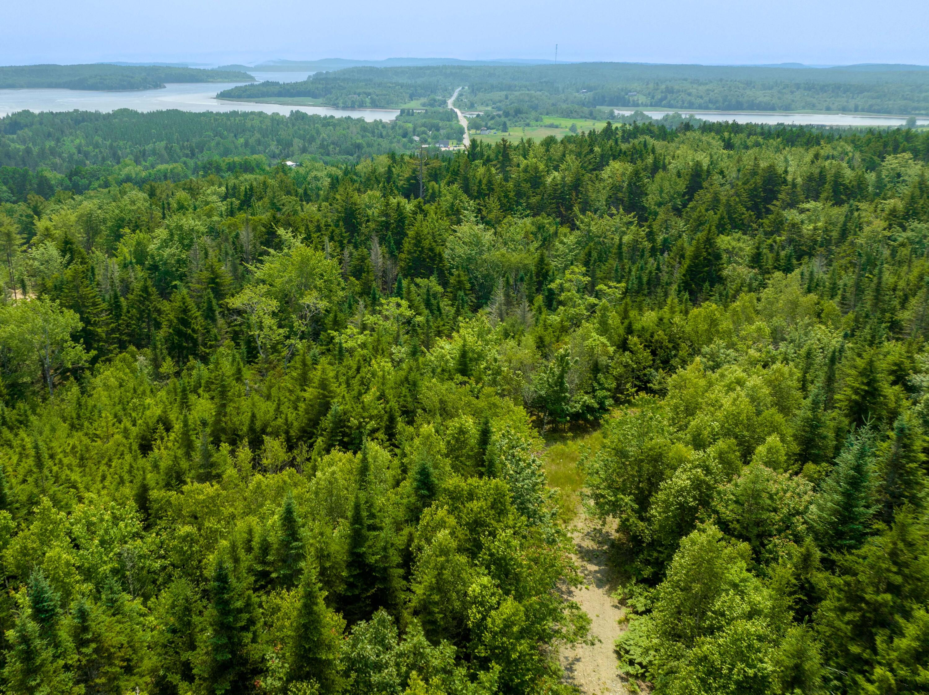 65 Lookout Mountain Road, East Machias, ME, 04630