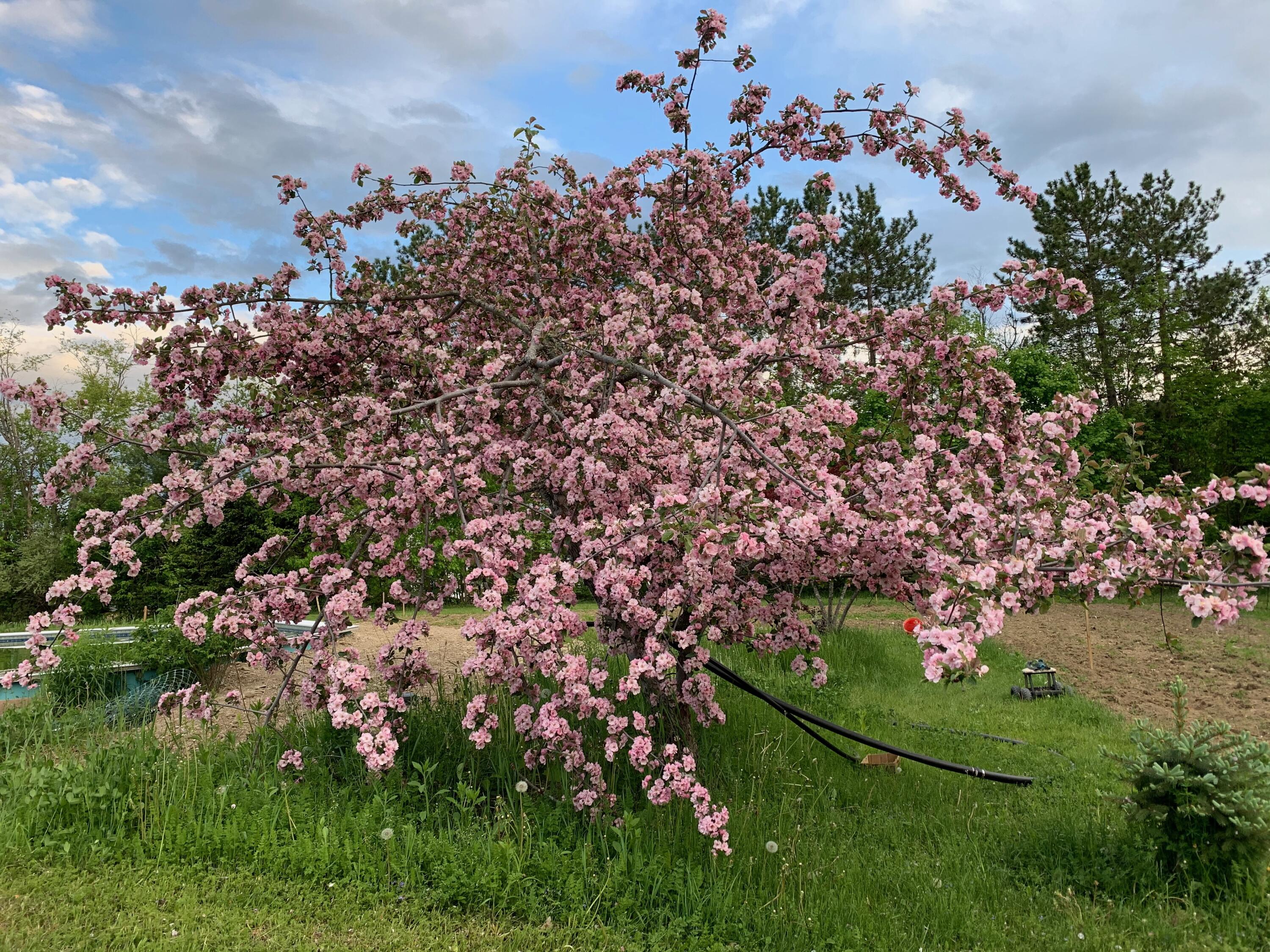 42 Fowler Road, Orrington, ME, 04474