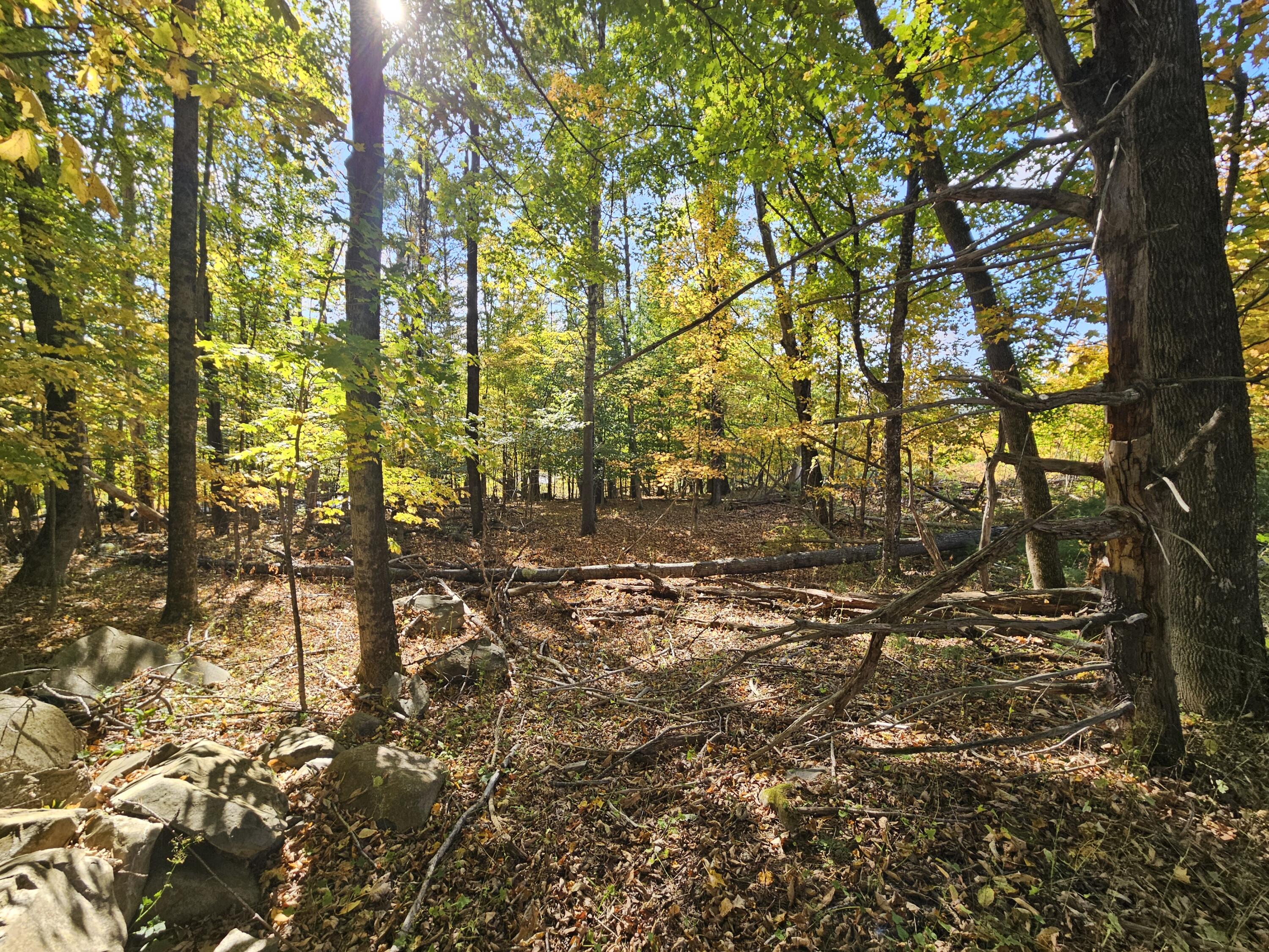 R-5 13-A Norton Hill Road, Strong, ME, 04983