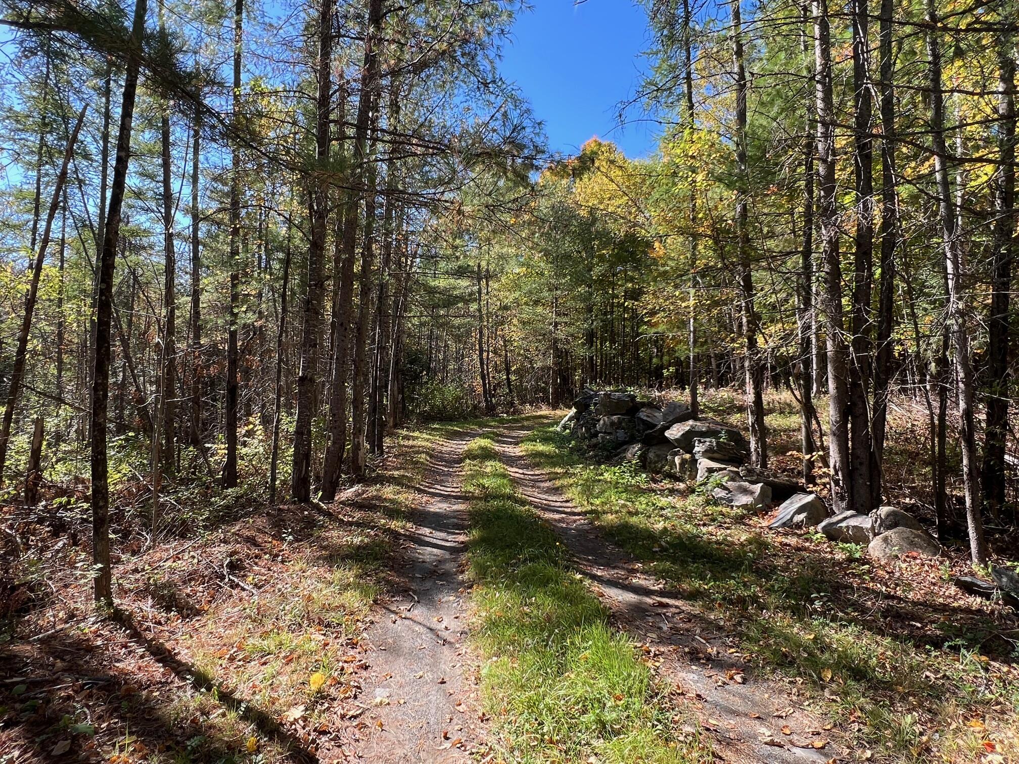 Map 10 Lot 68A Snows Pond Road, Dover-foxcroft, ME, 04426