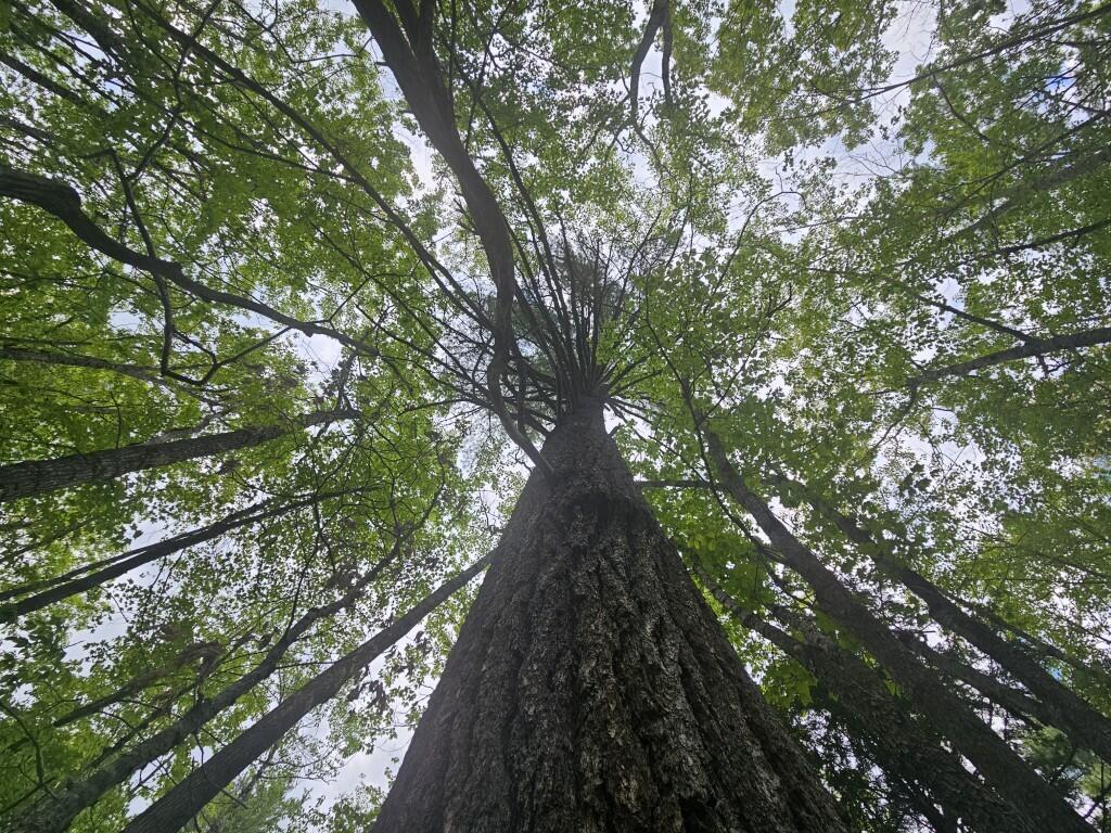 M10L44 Mountain View Road, Fryeburg, ME, 04037