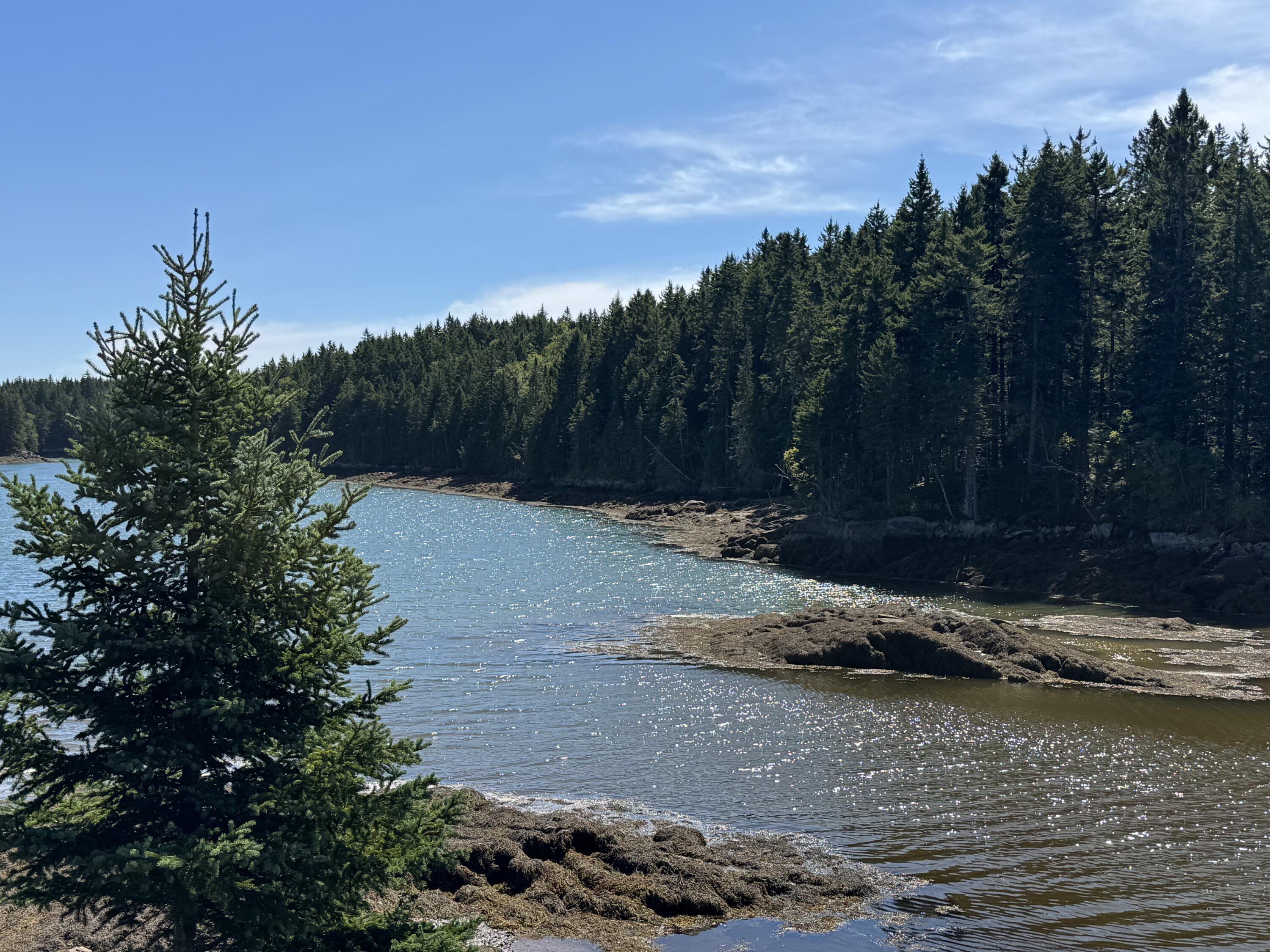 Photo of Lot 102.1 Dixie Road Trescott Twp ME 04652