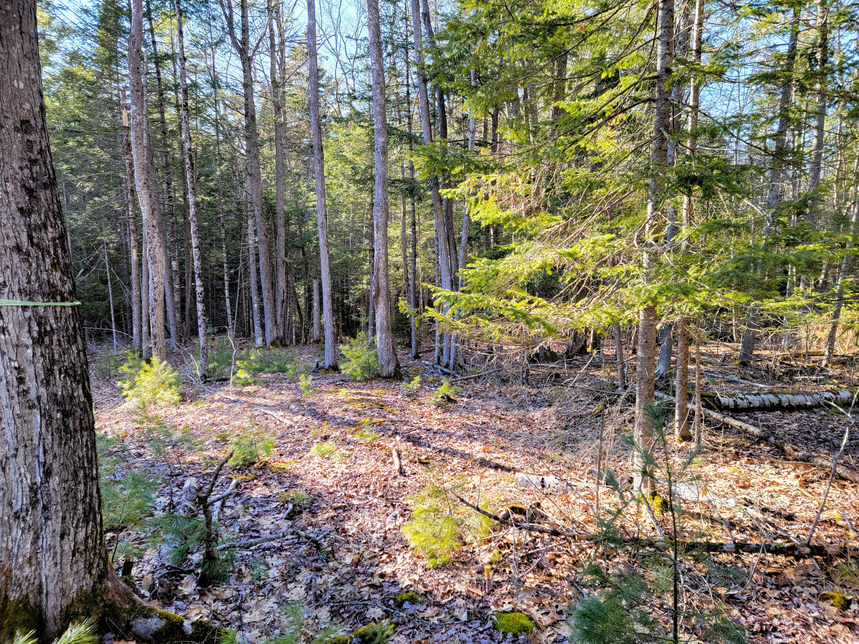 0 Redding Lane, Freeport, ME, 04032