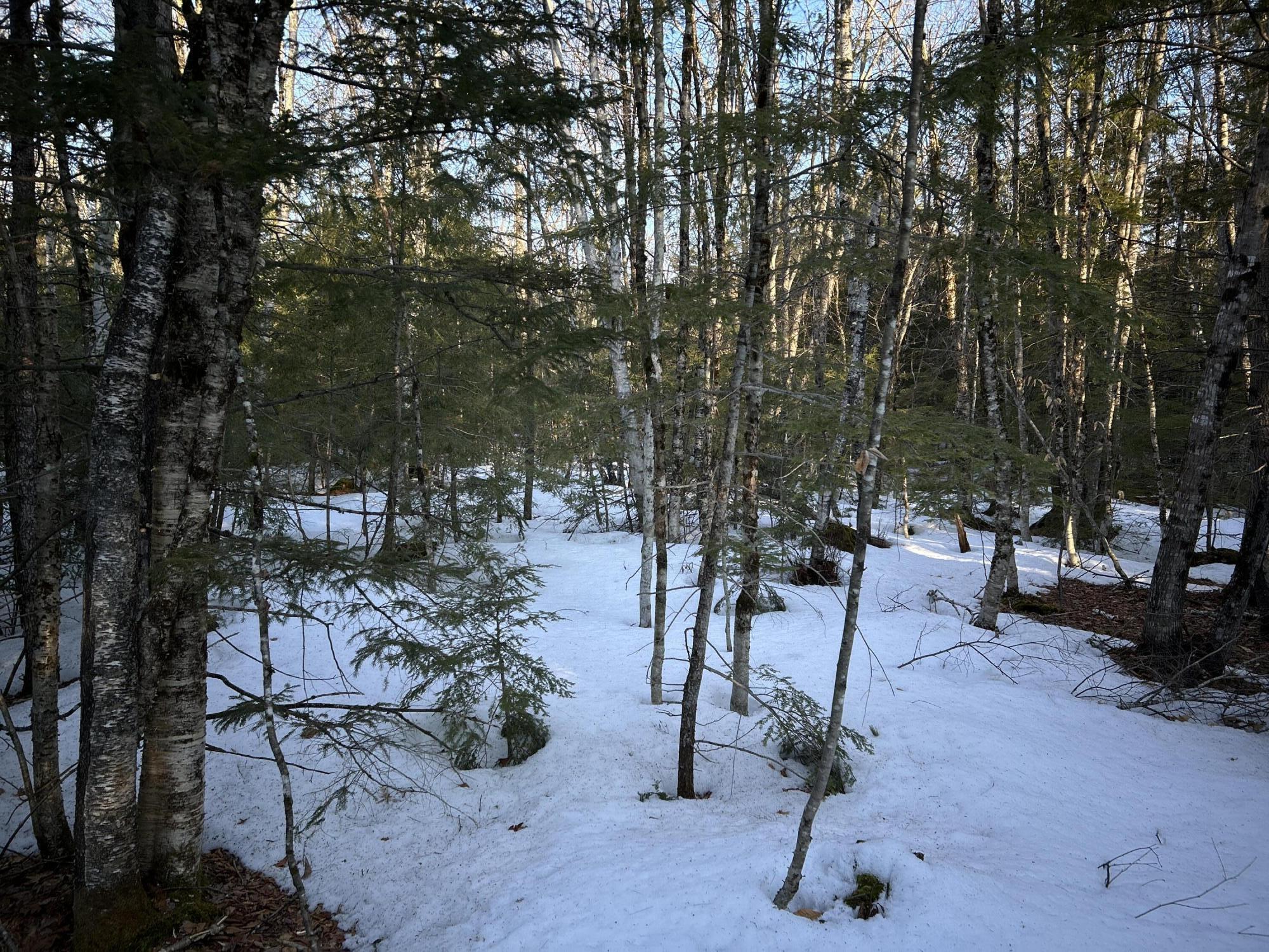 Map13Lot11 Field View Road, Fryeburg, ME, 04037