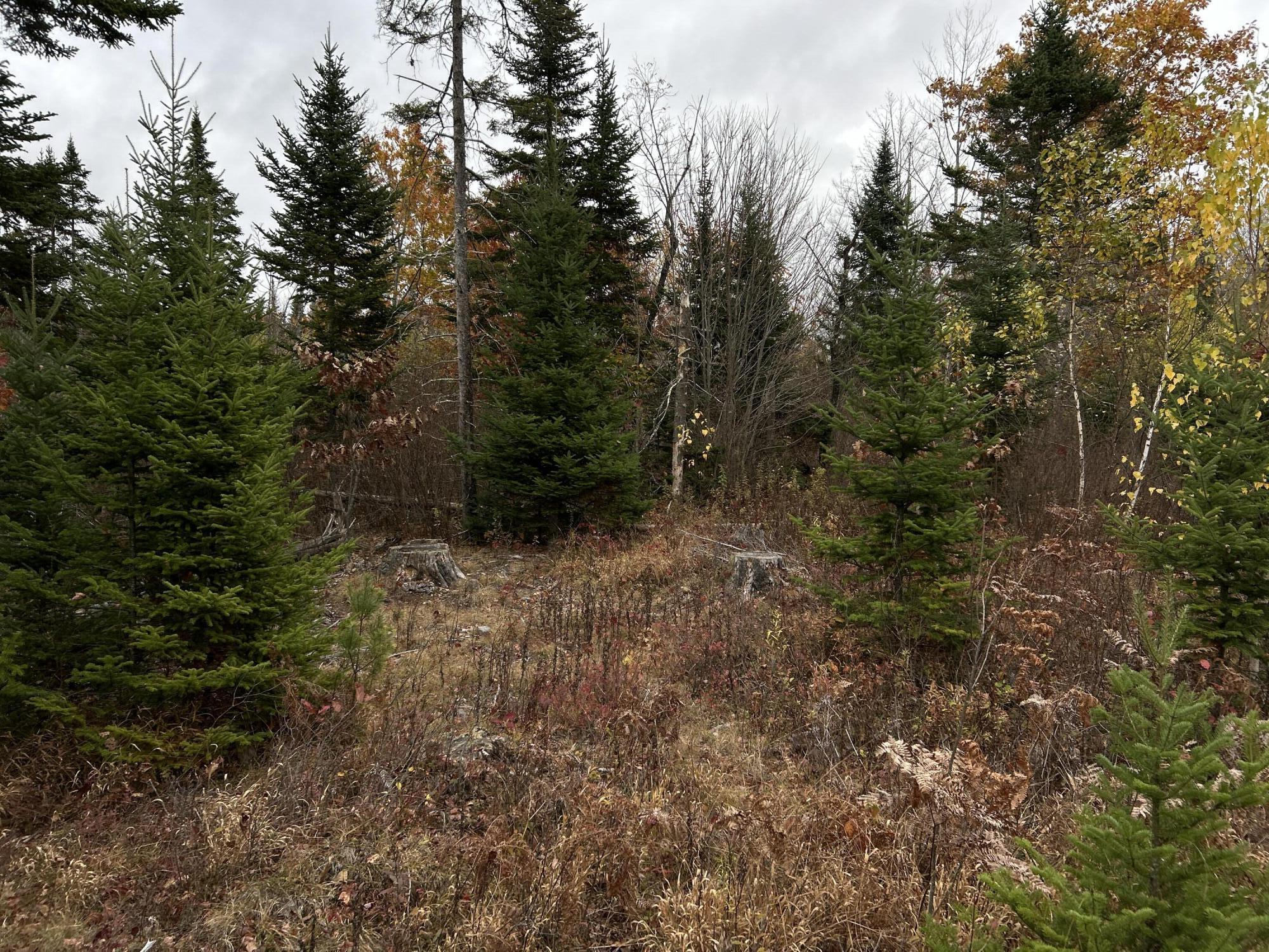 M4L18 Bog Road, Jackson, ME, 04921