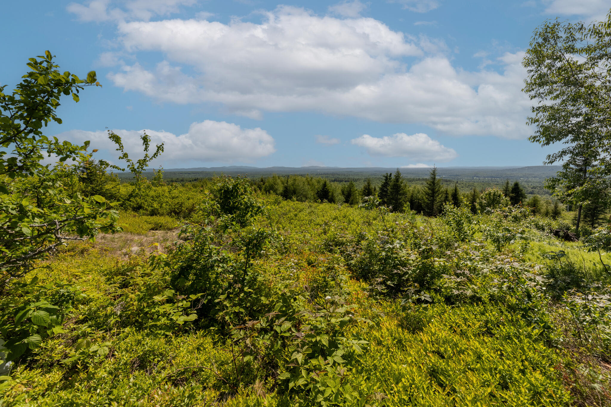 533 Mount Ephraim Map 4 Lot 63 Road, Searsport, ME, 04974