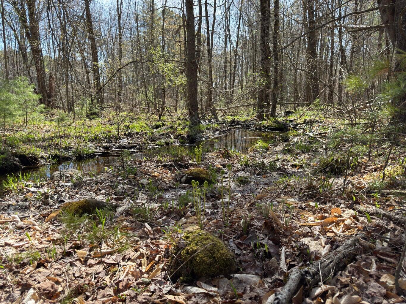 0 Scarlet Way, Lebanon, ME, 04027