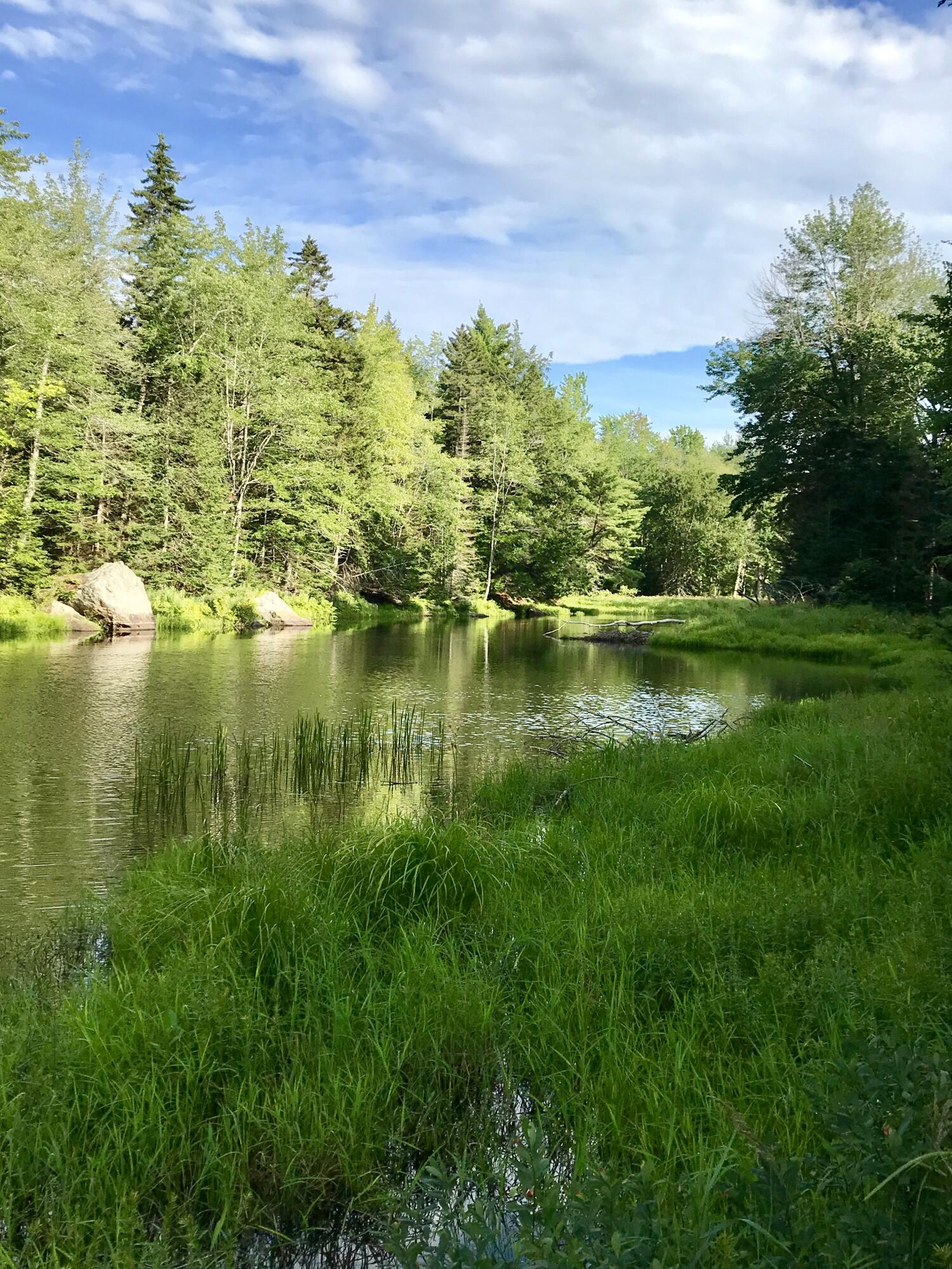 196 Woodmans Mill Road, Searsmont, ME, 04973