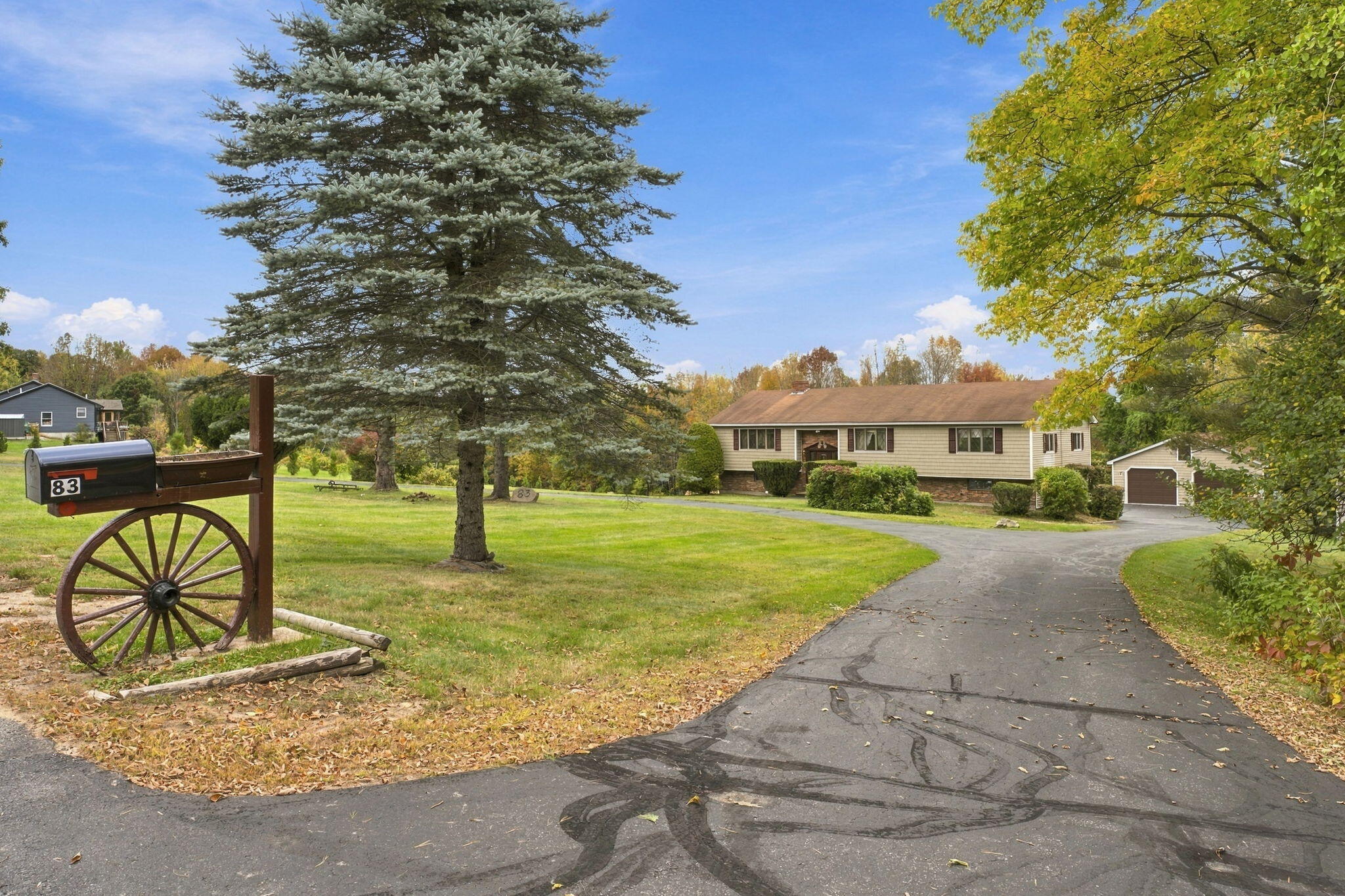 2-web-or-mls-DSC04878