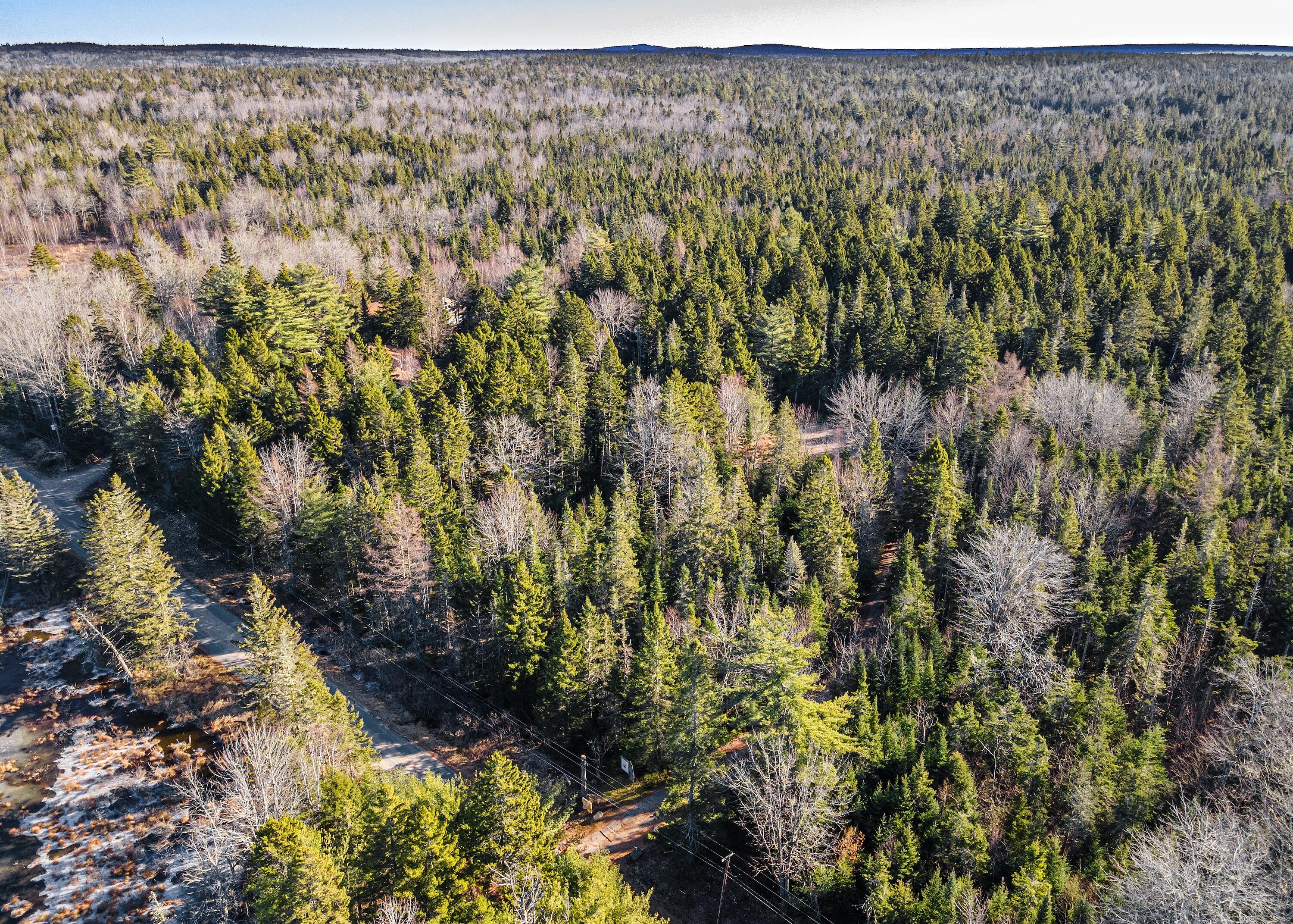 175 Chicken Mill Pond Road, Gouldsboro, ME, 04607