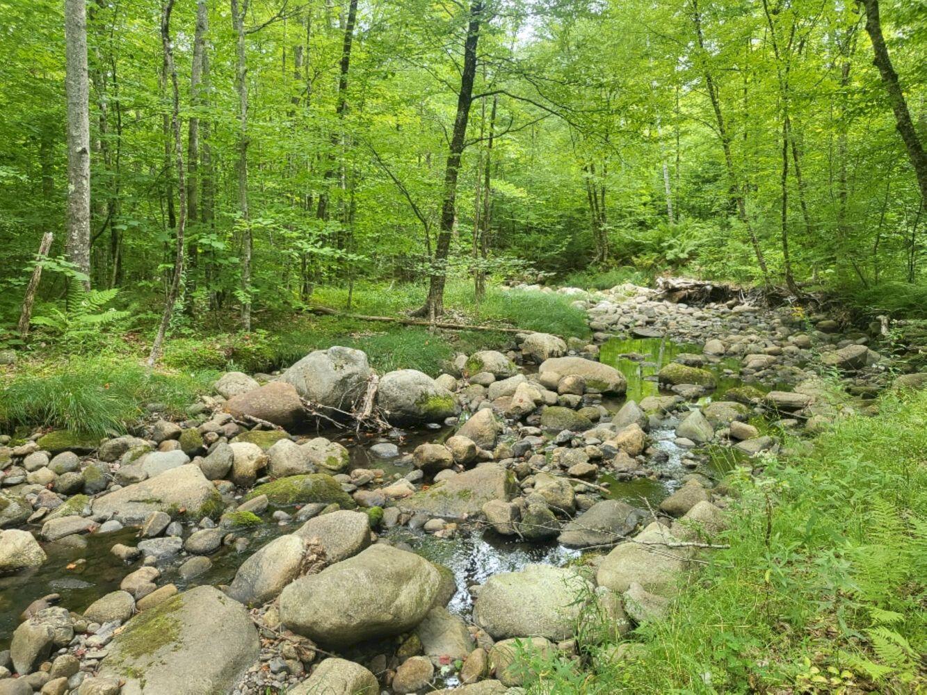 189 Basin Road, Carthage, ME, 04224