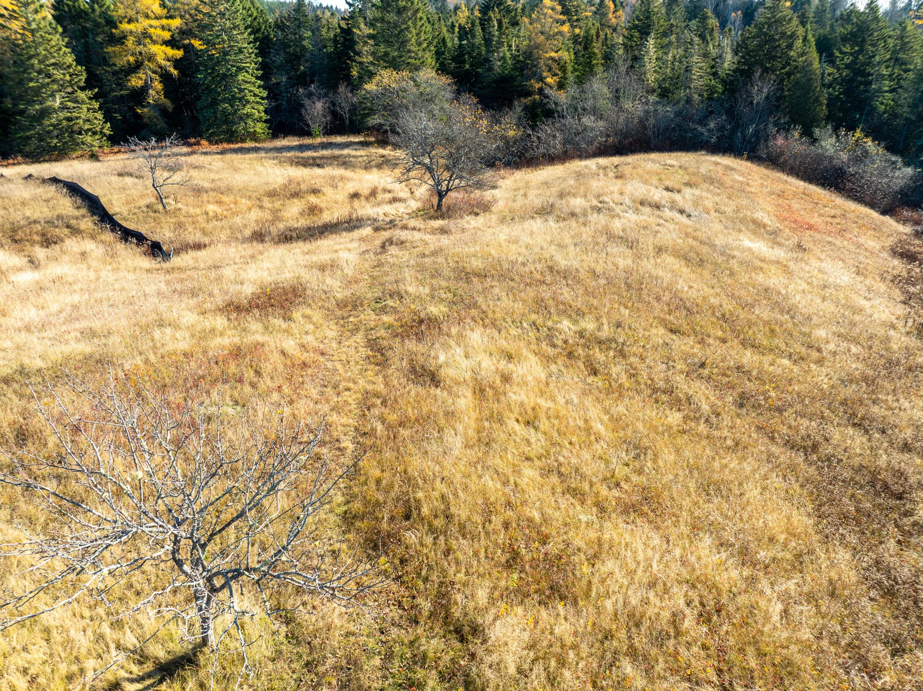 72 Old US Rte 1, Jonesboro, ME, 04648