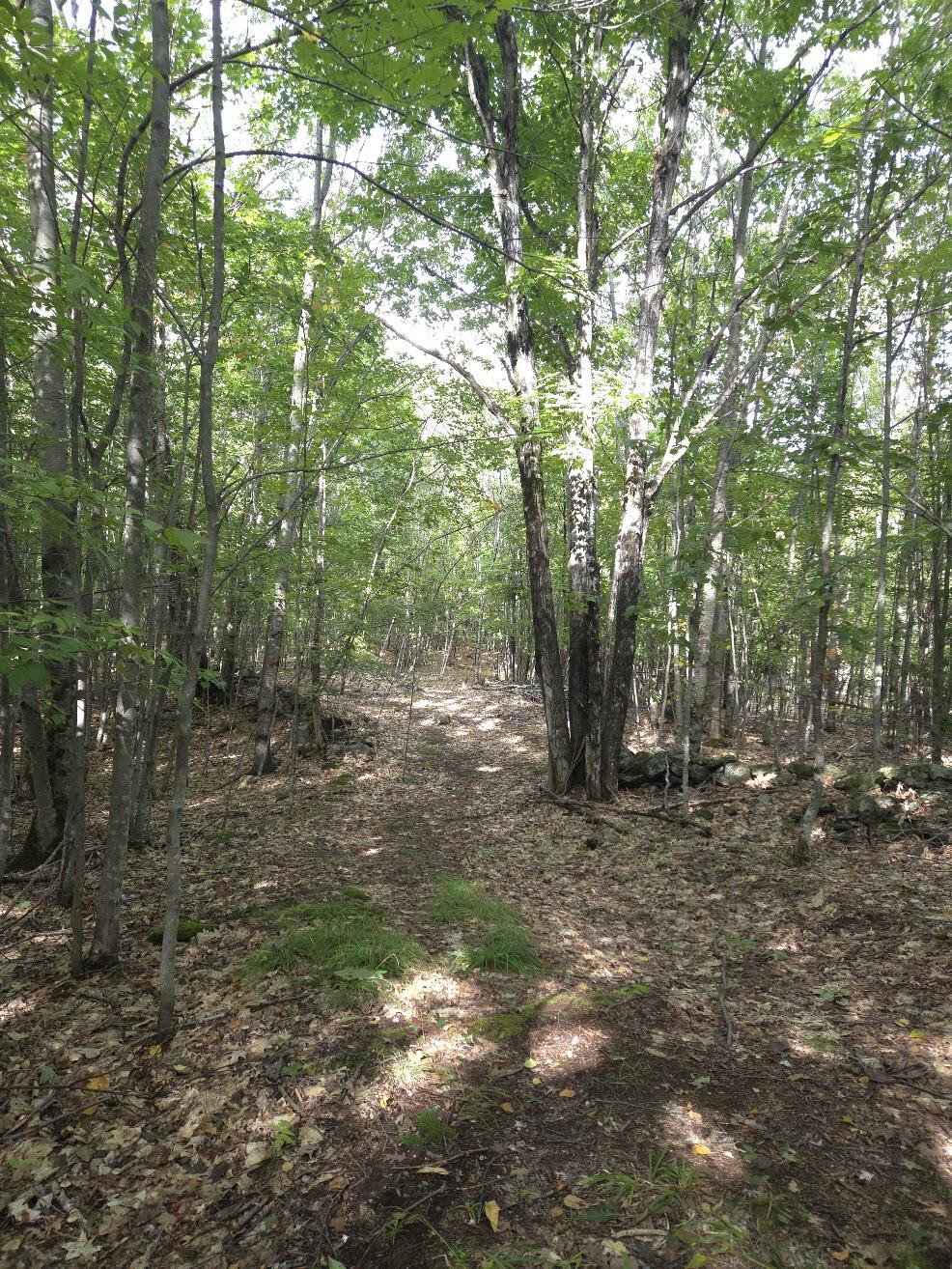 125 High Street, West Paris, ME 04289 Walking Trails on Property