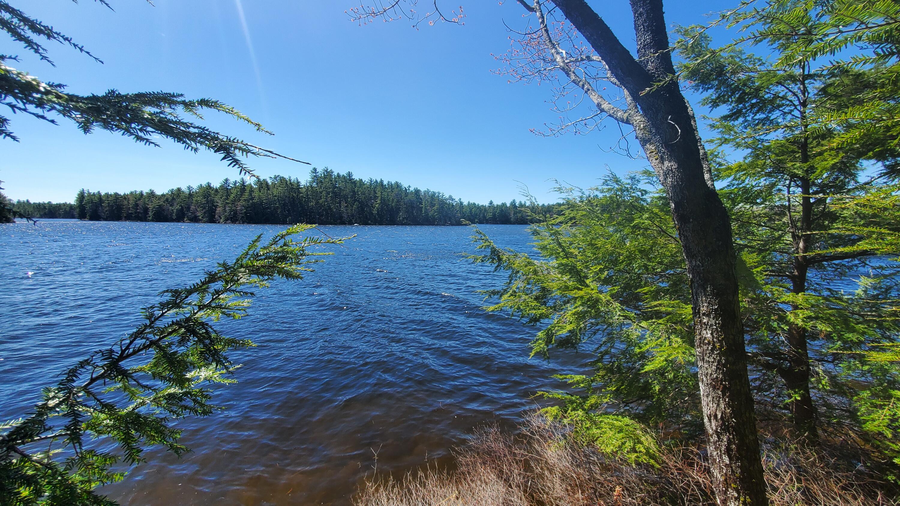 307 Lakeville Shores Road, Lakeville, ME, 04487