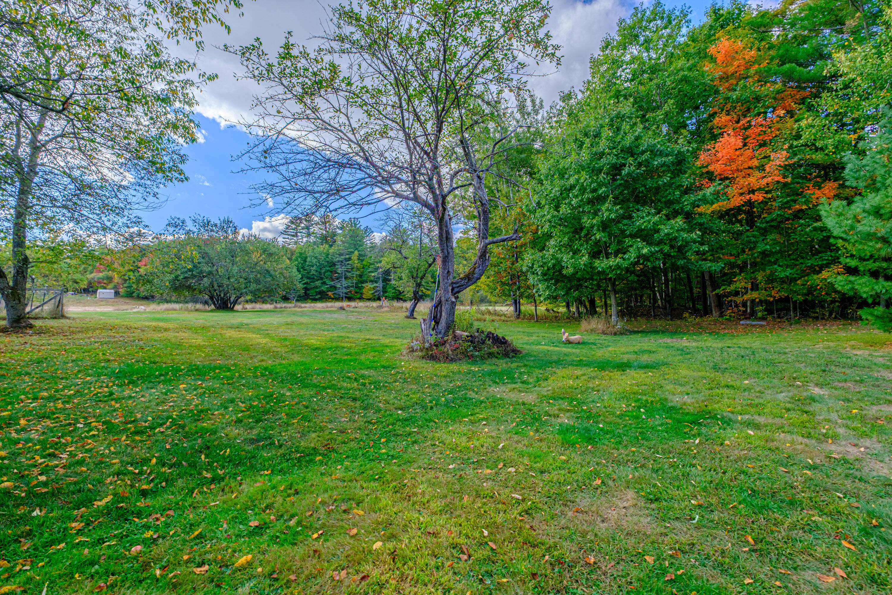 781 North Road, Bethel, ME, 04217